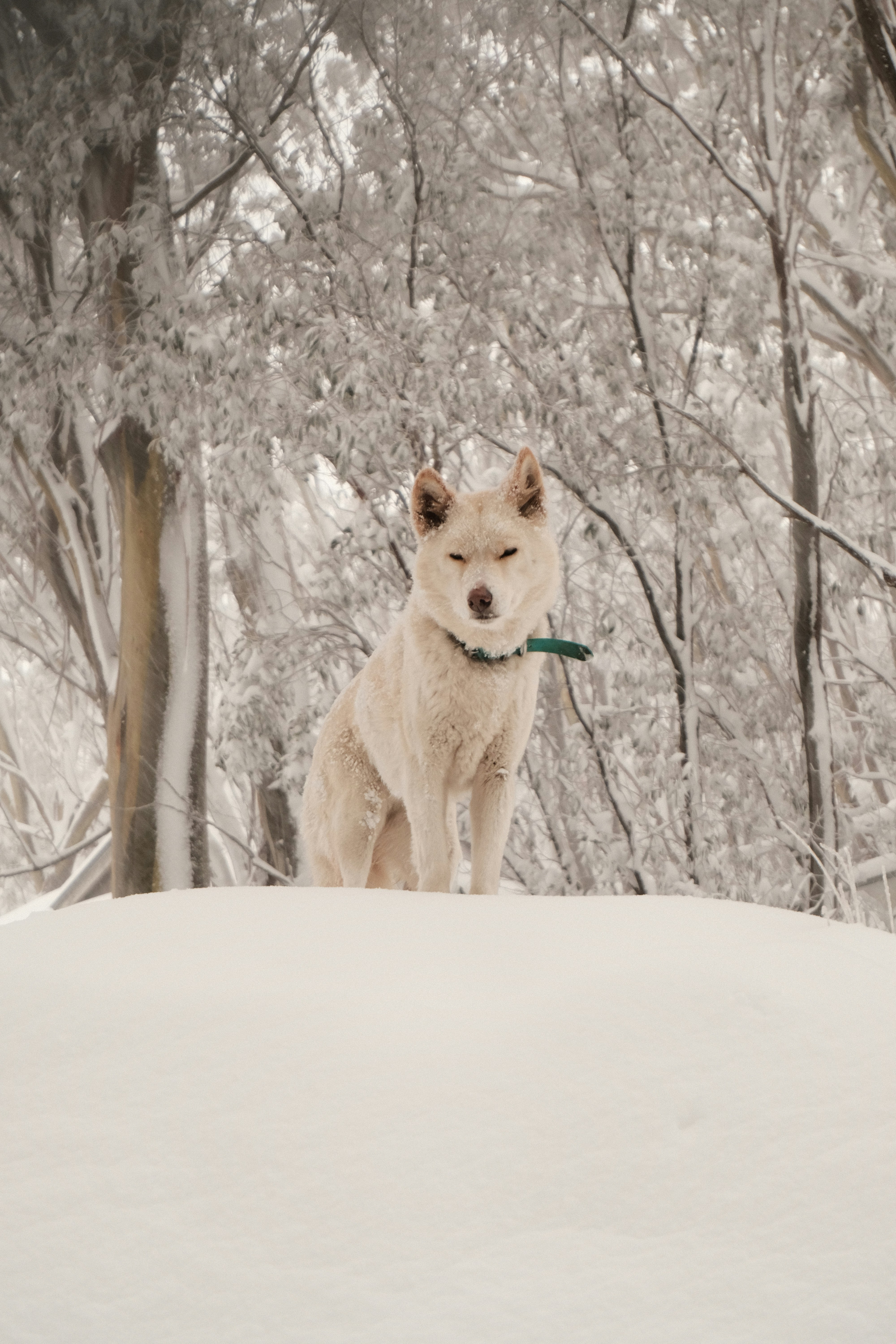 Photo by lewisbyoung97