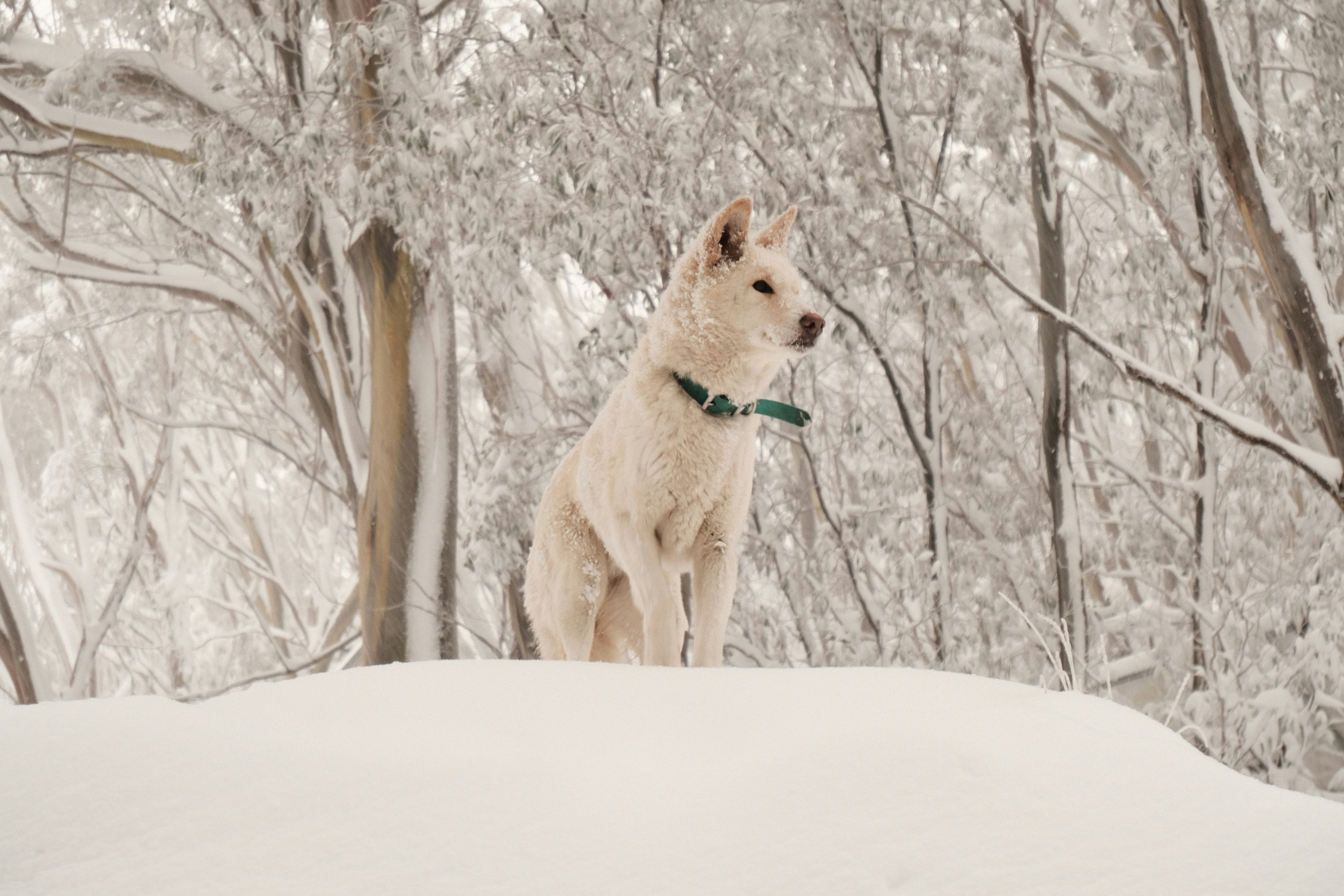 Photo by lewisbyoung97