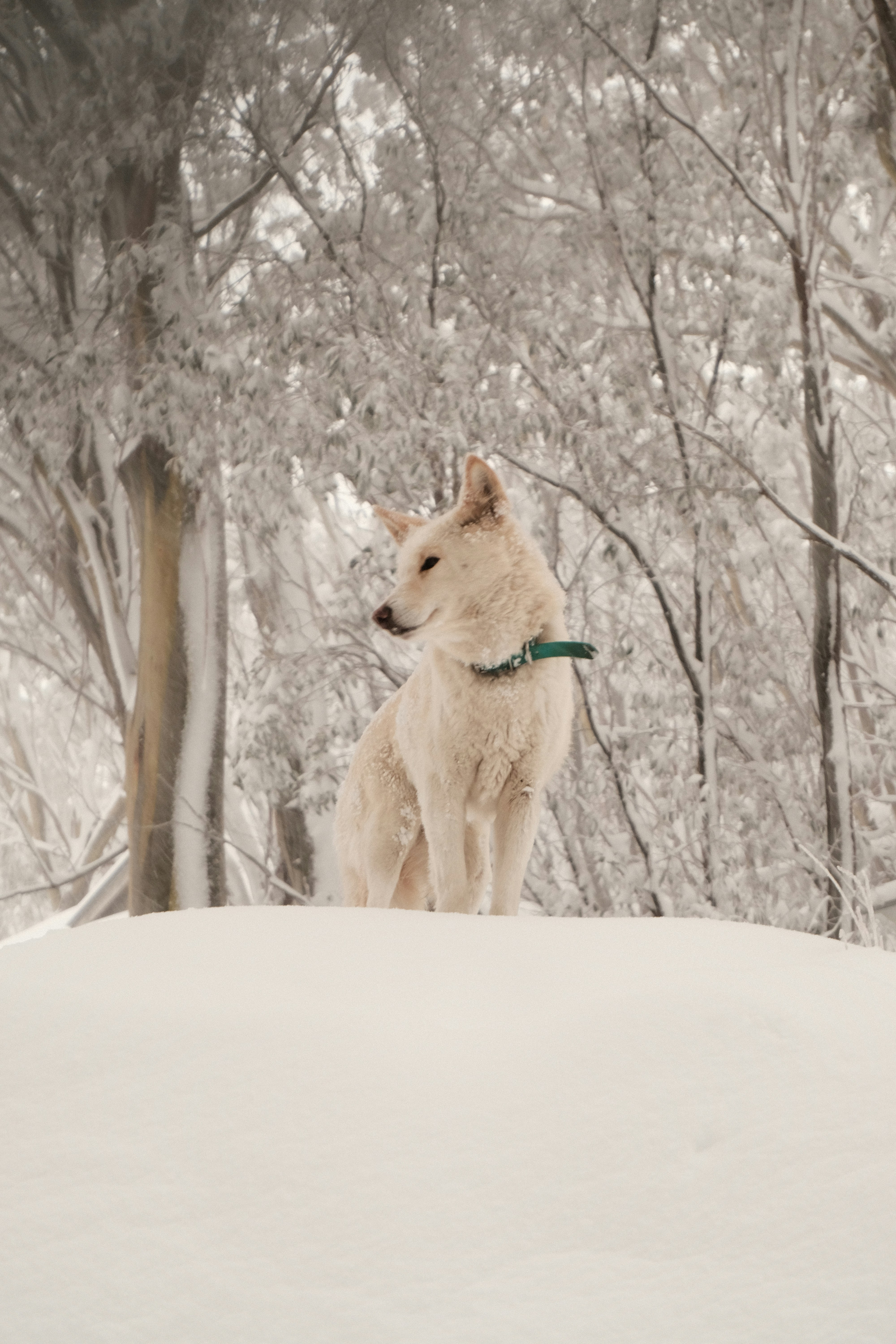 Photo by lewisbyoung97