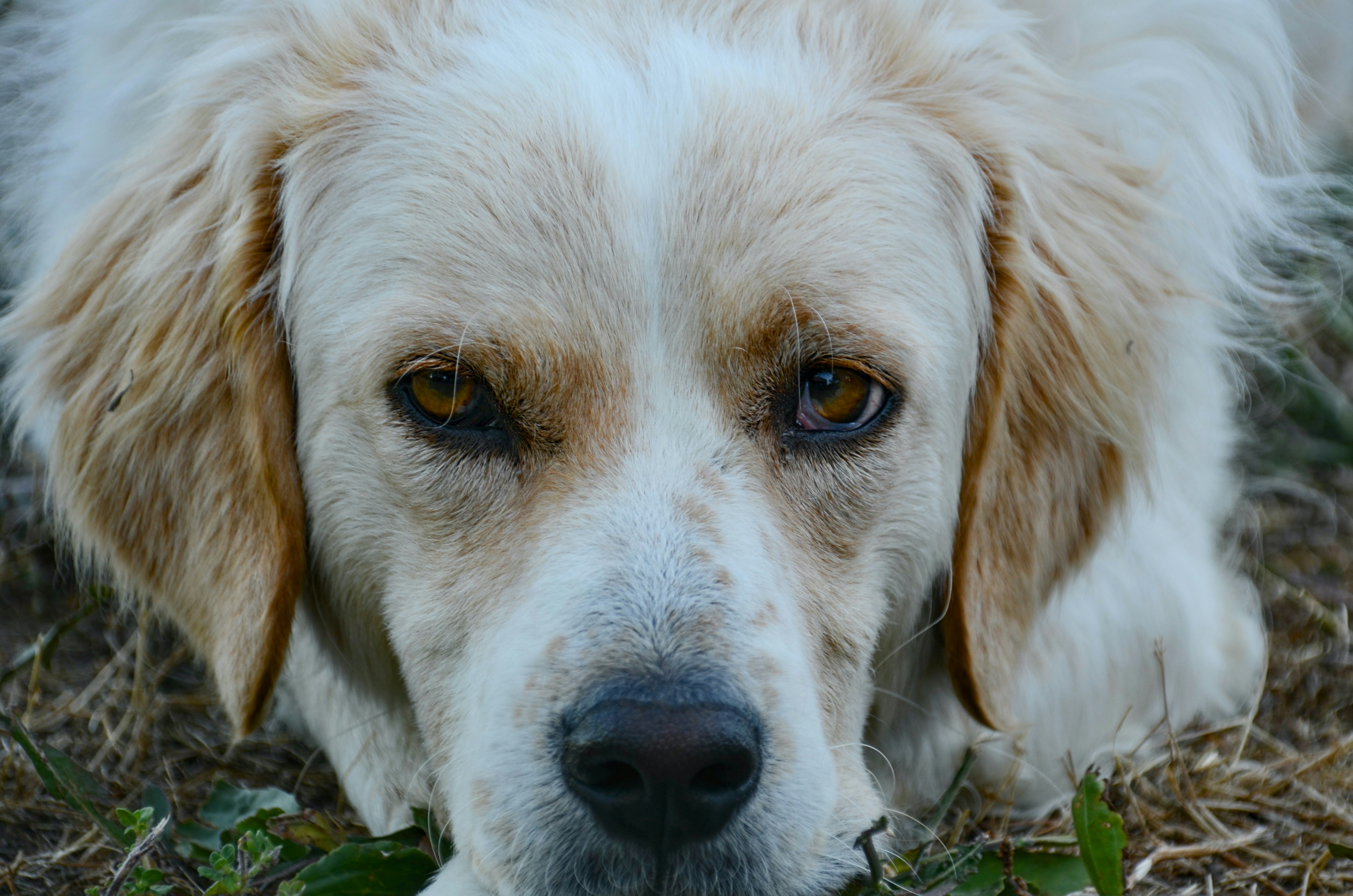 Photo by mariobeducci