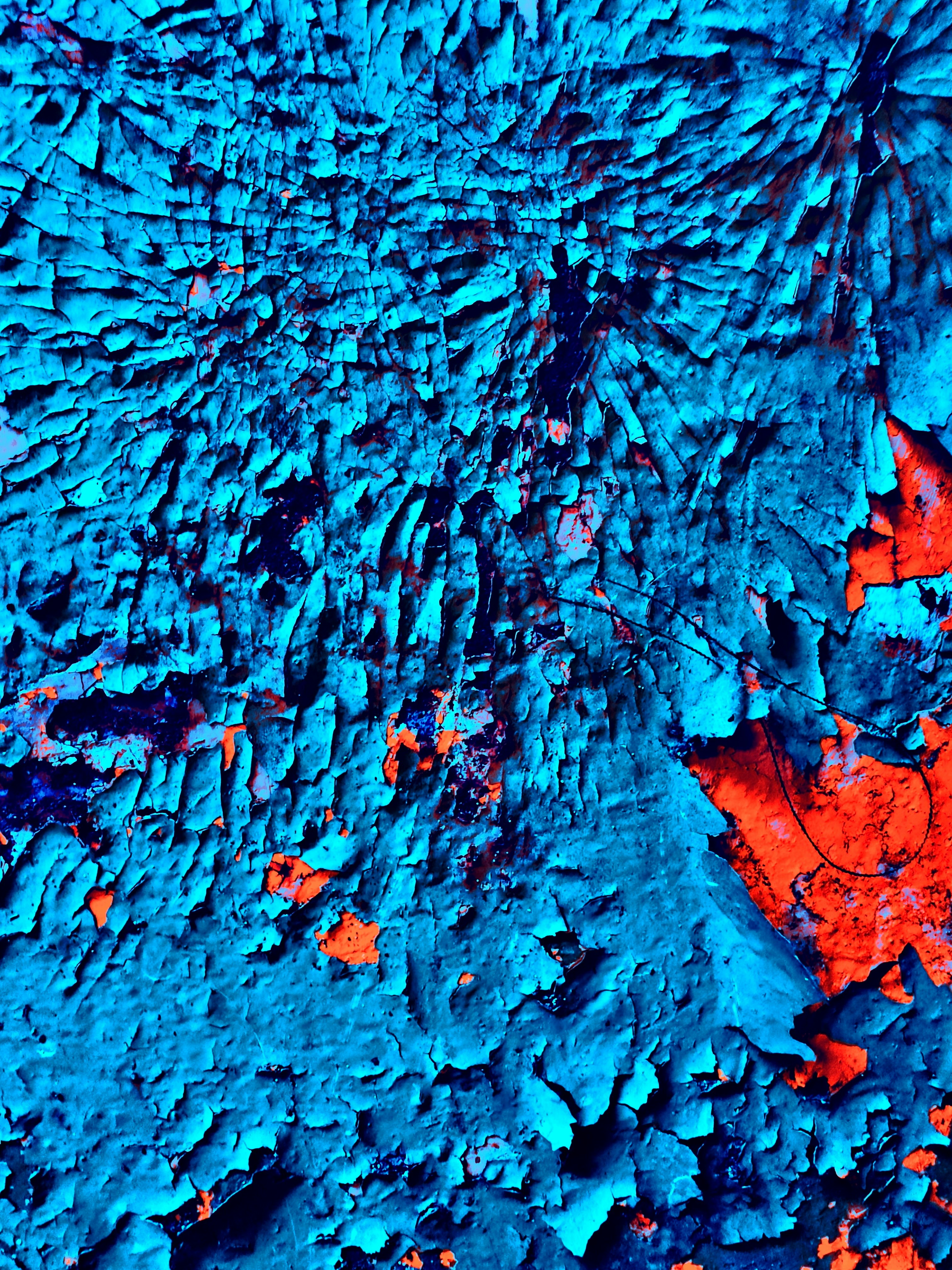 Photo by david_underland