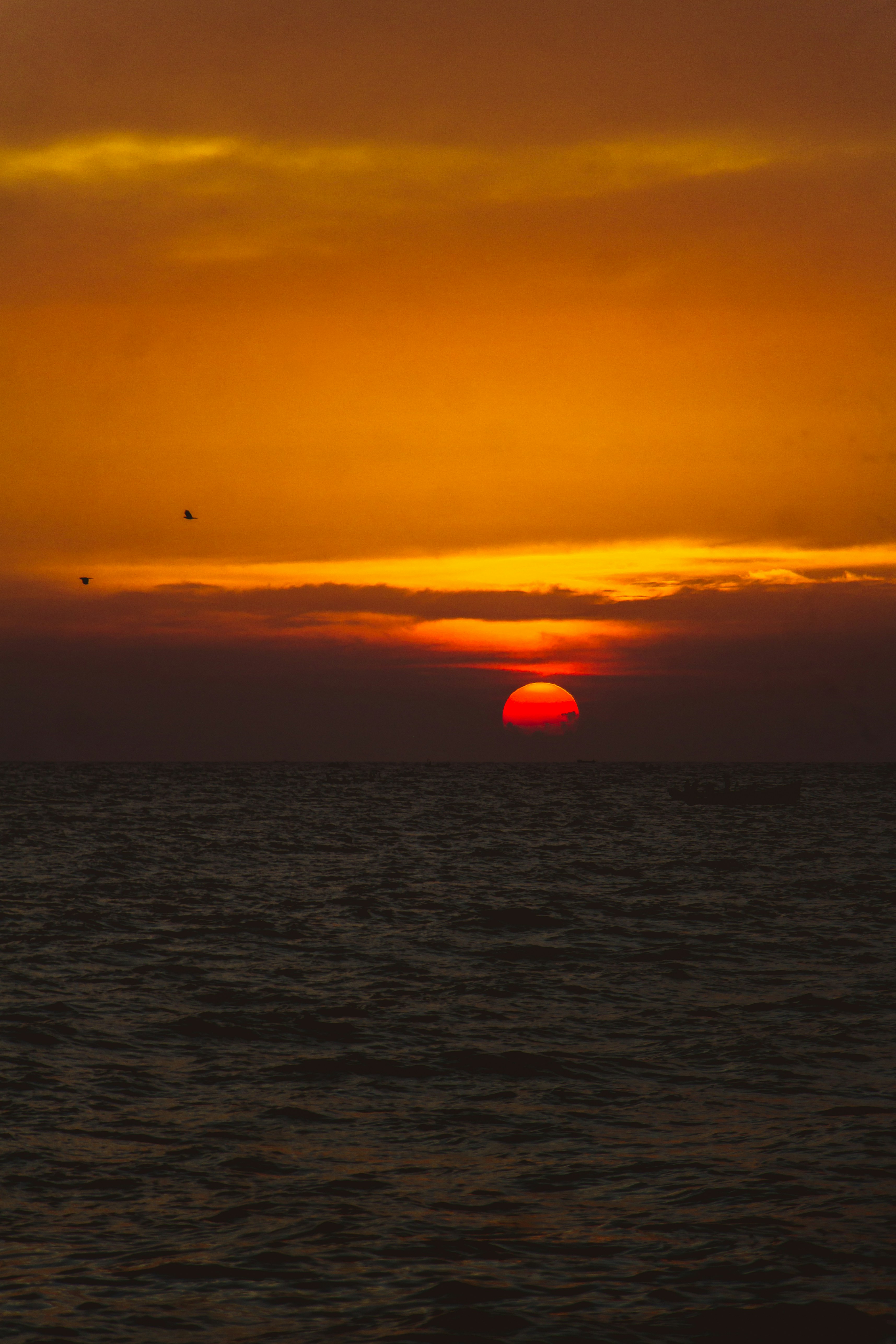 Photo by francos_chapter