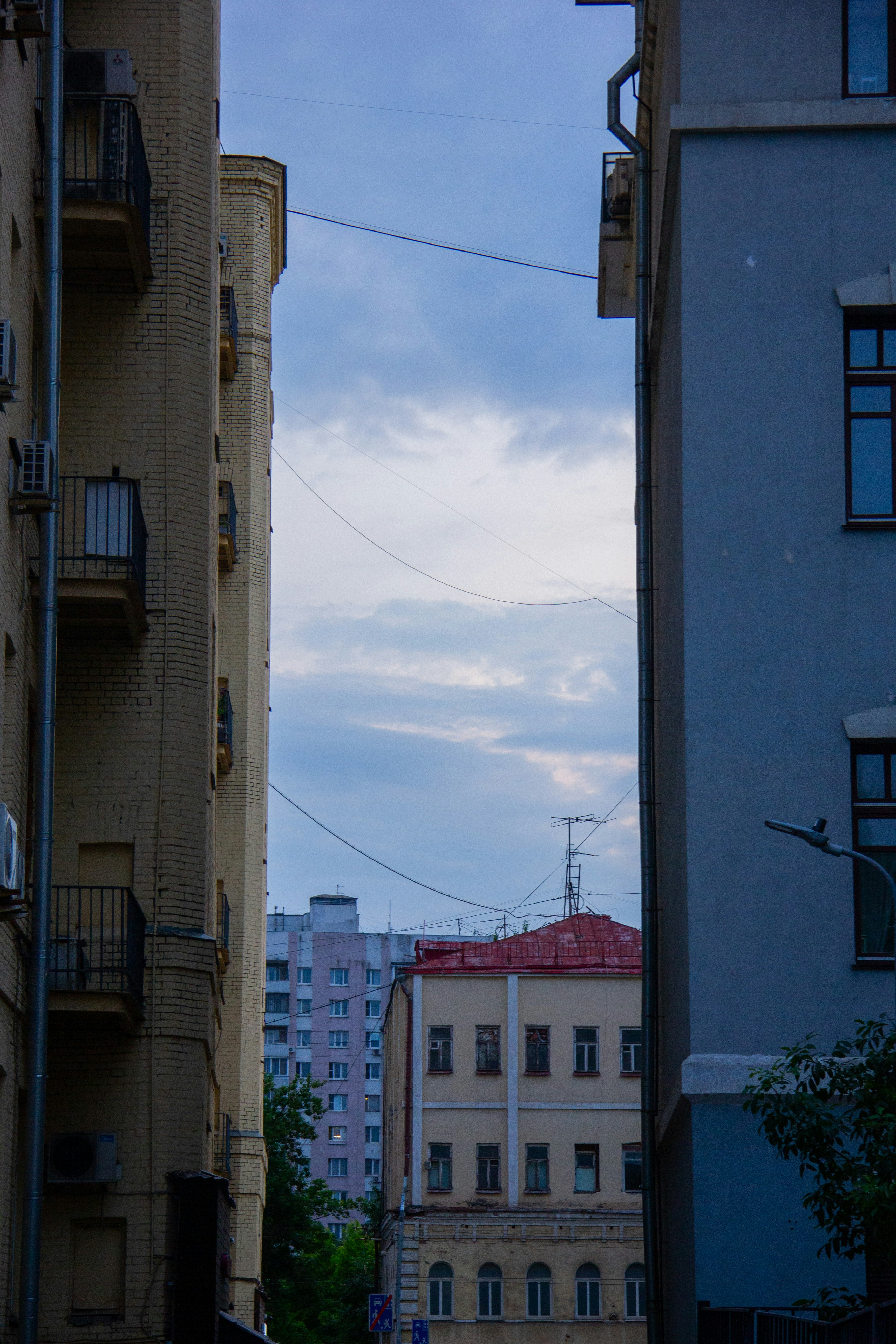 Photo by felis_catus