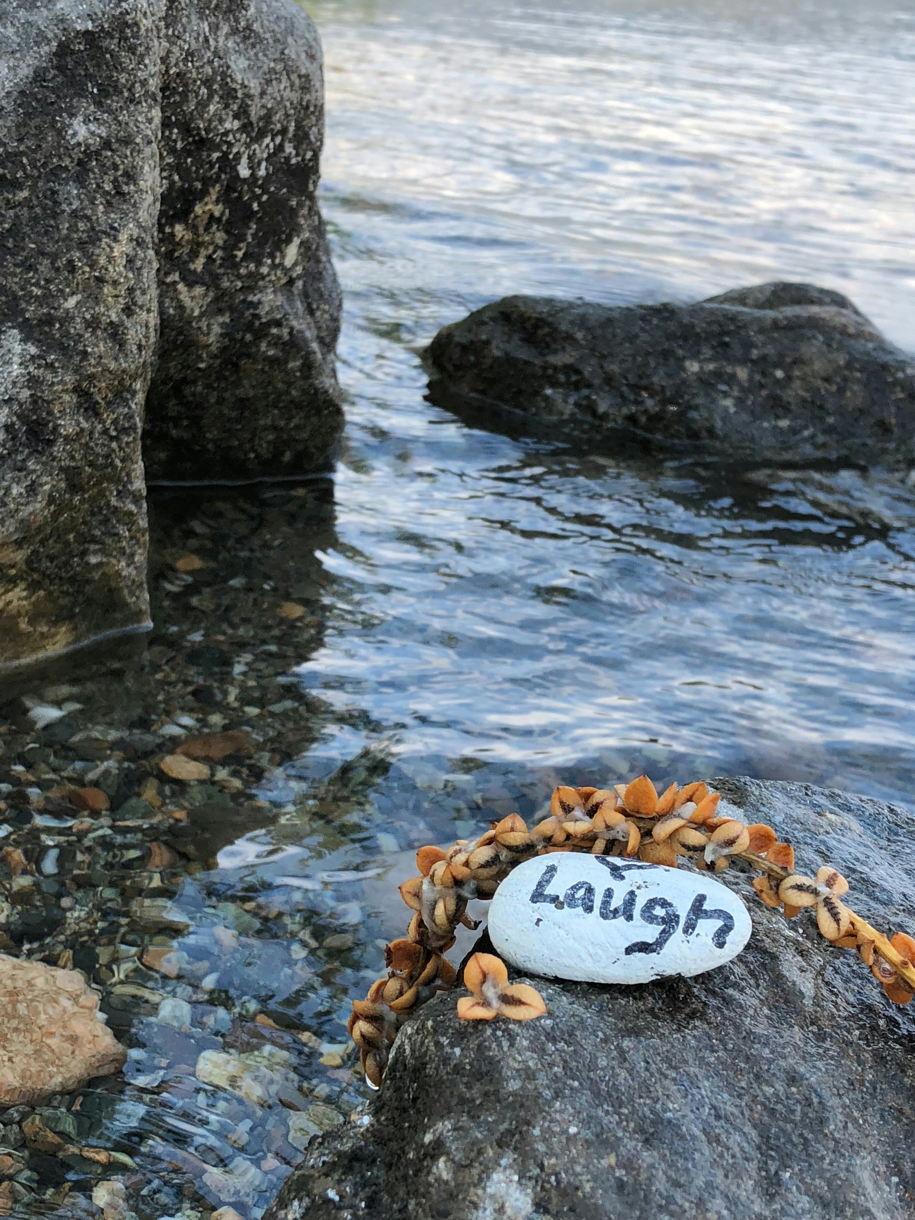 A rock reads "laugh" by the water