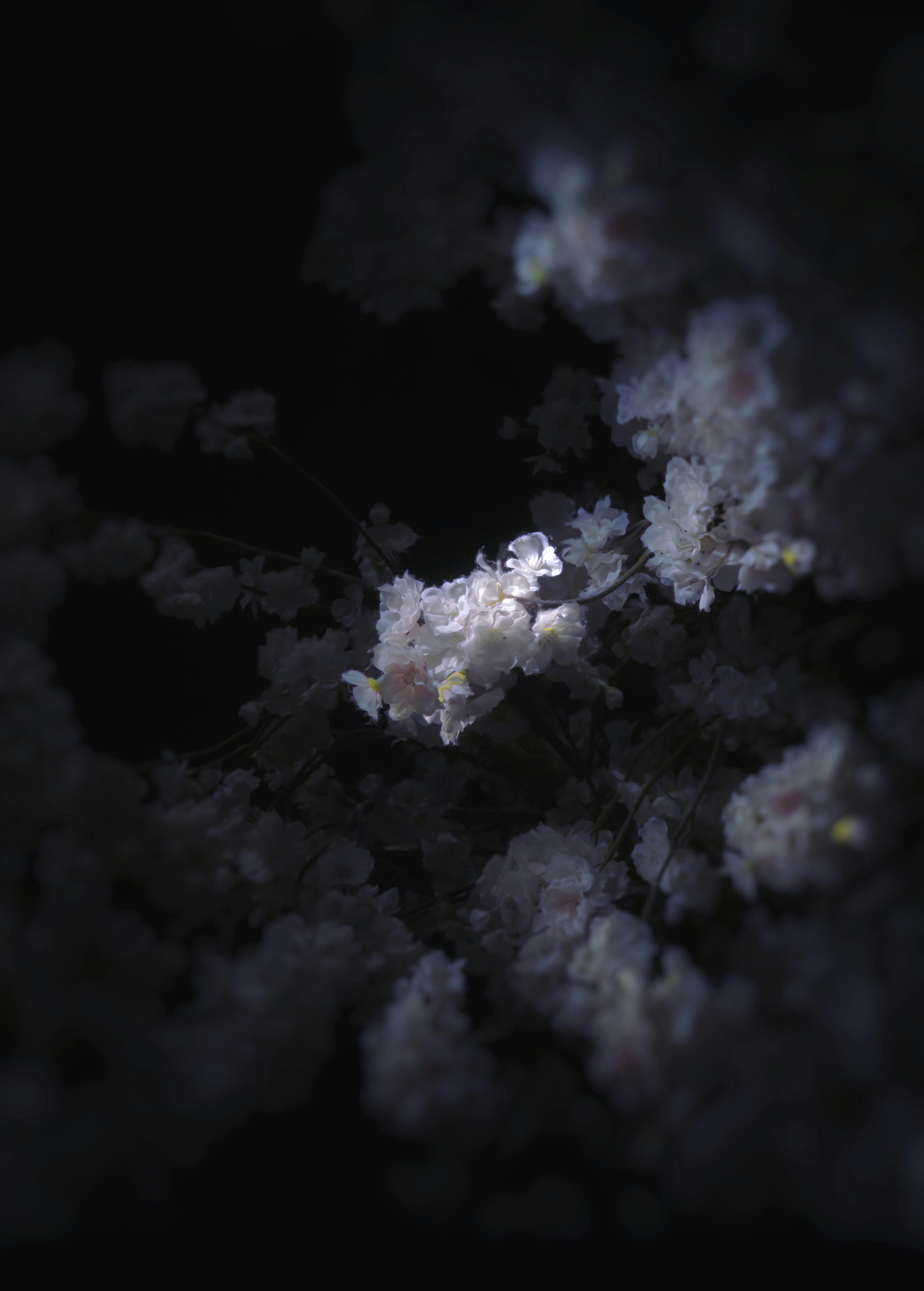 Photo by auranomical