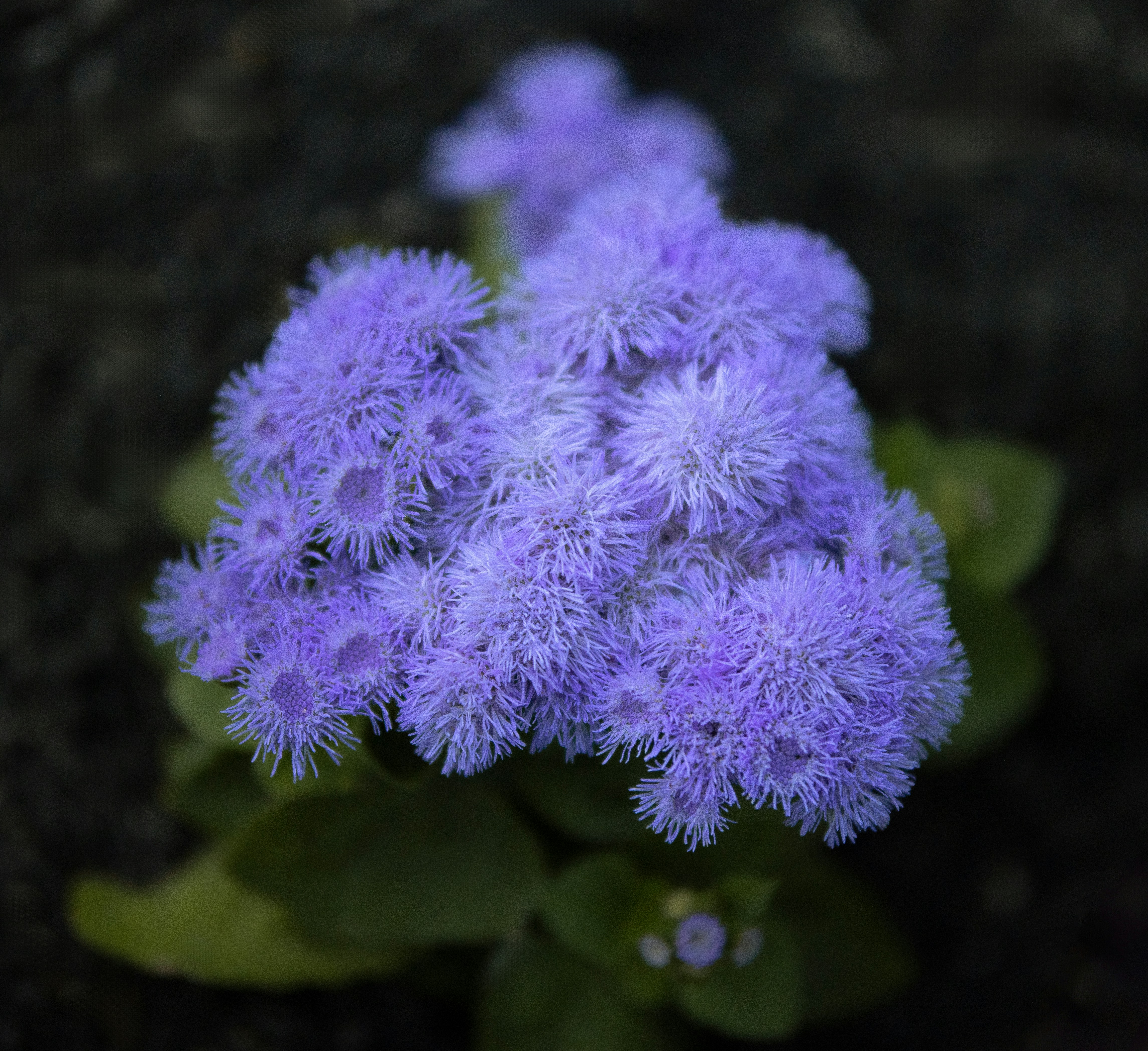 Photo by emmafunkster