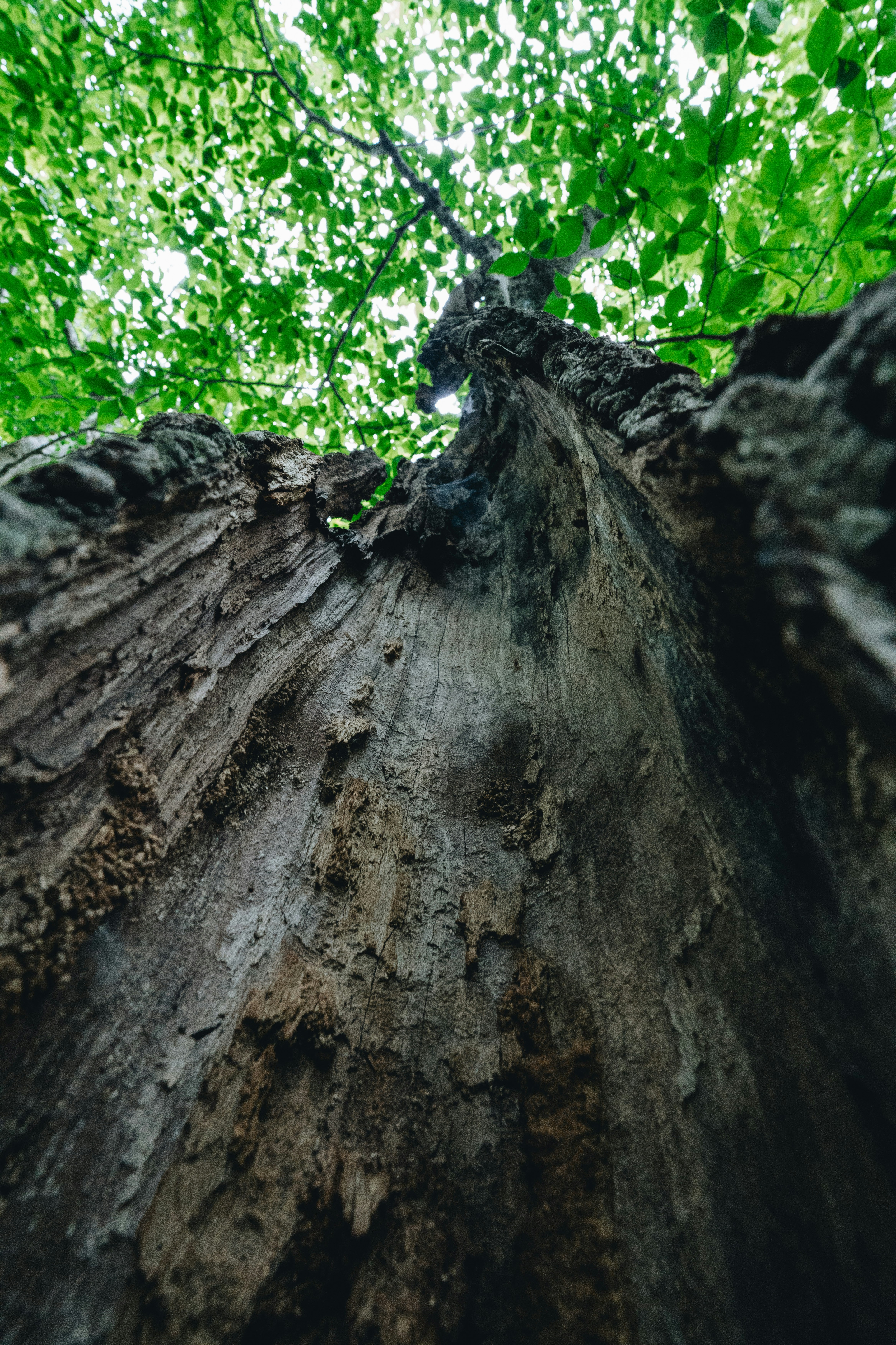 Photo by user90807060