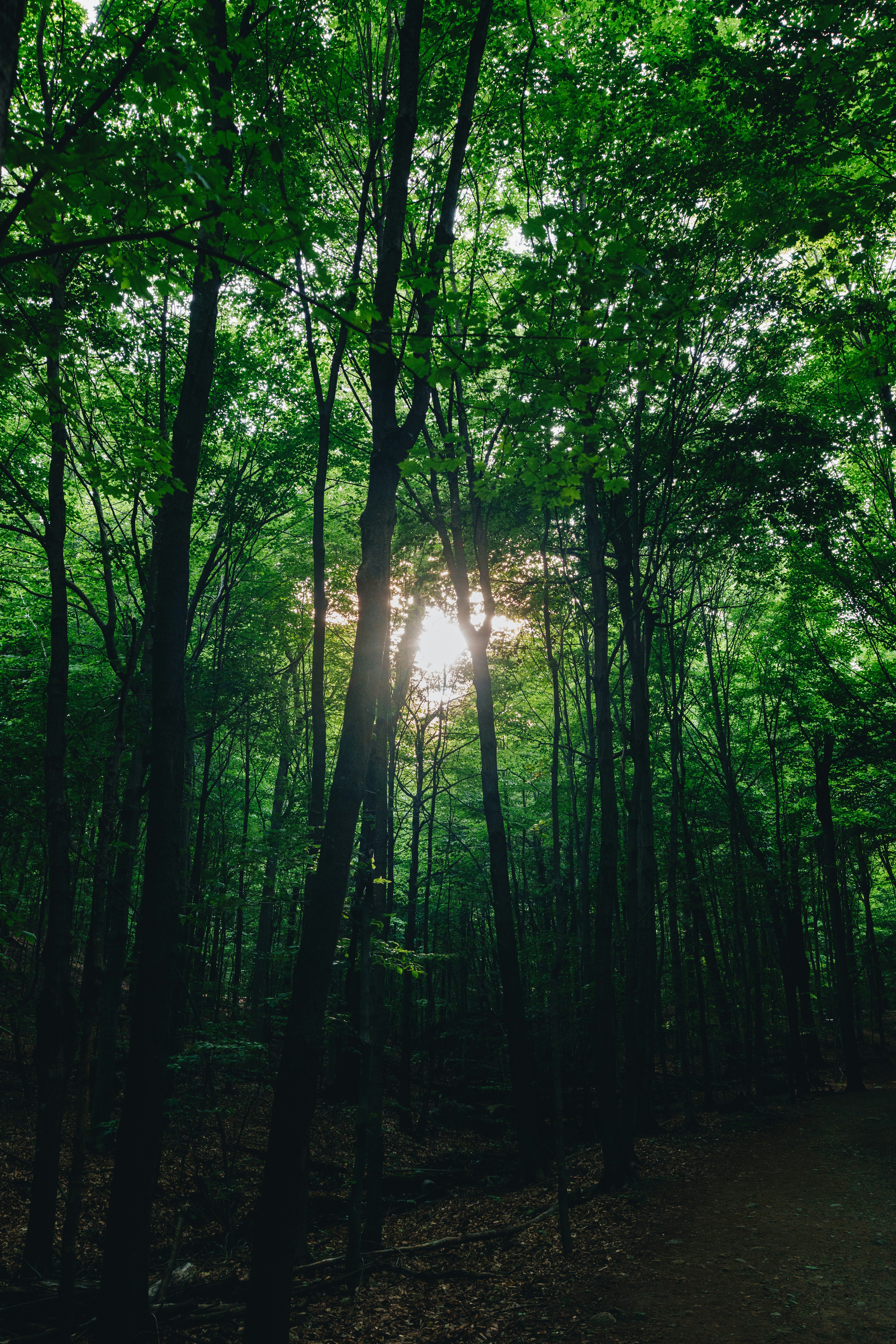 Photo by user90807060