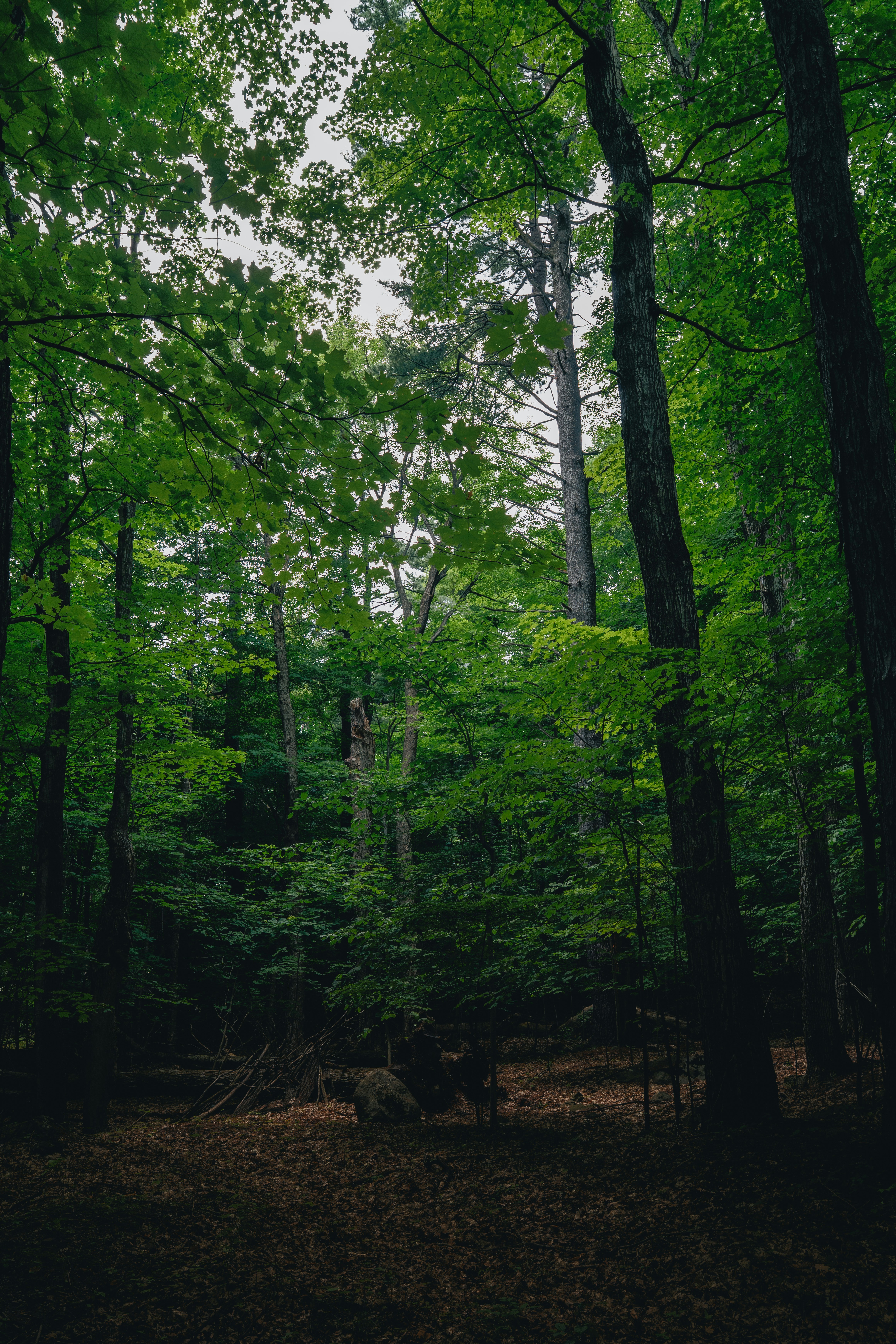 Photo by user90807060