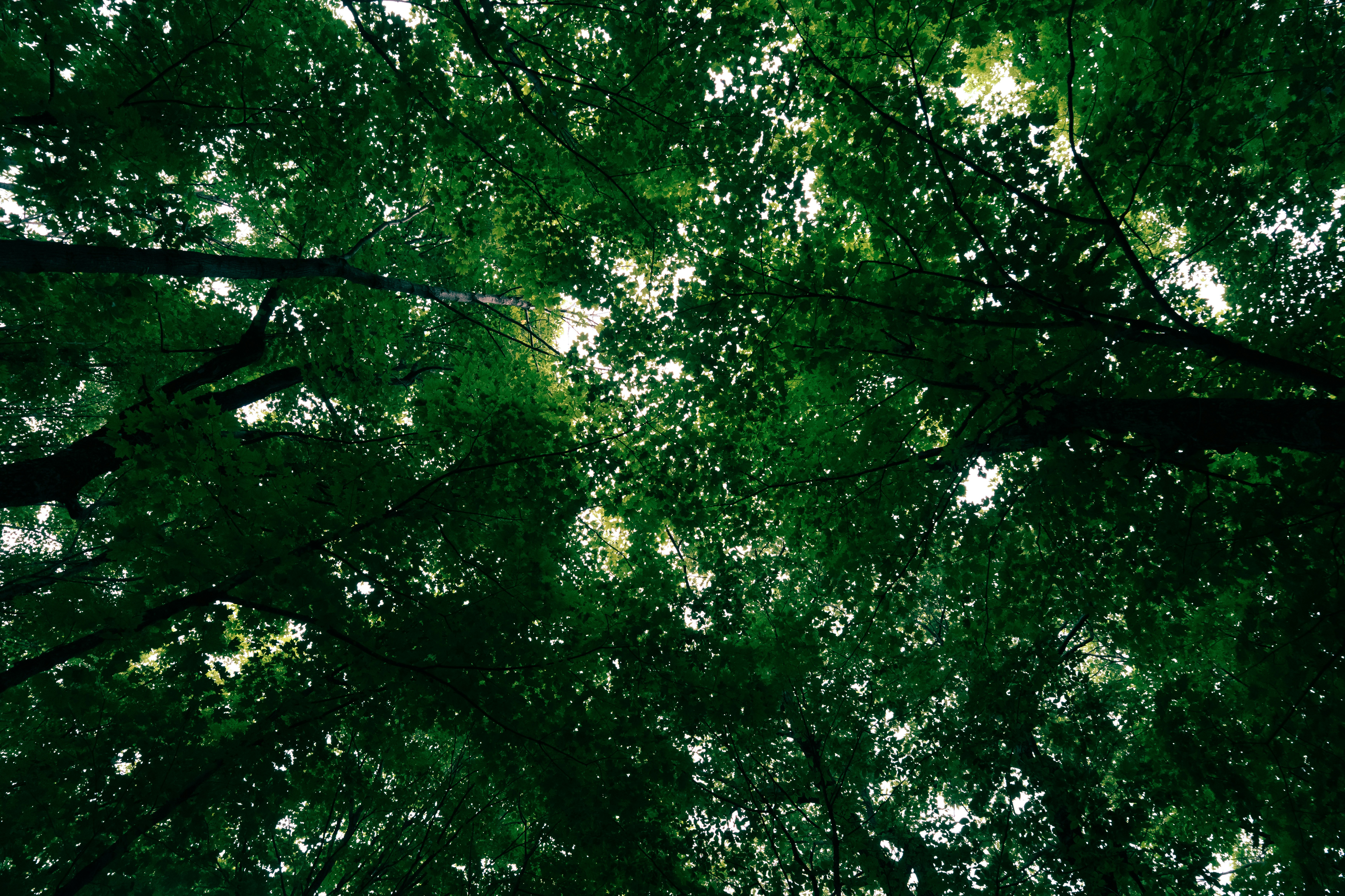 Photo by user90807060