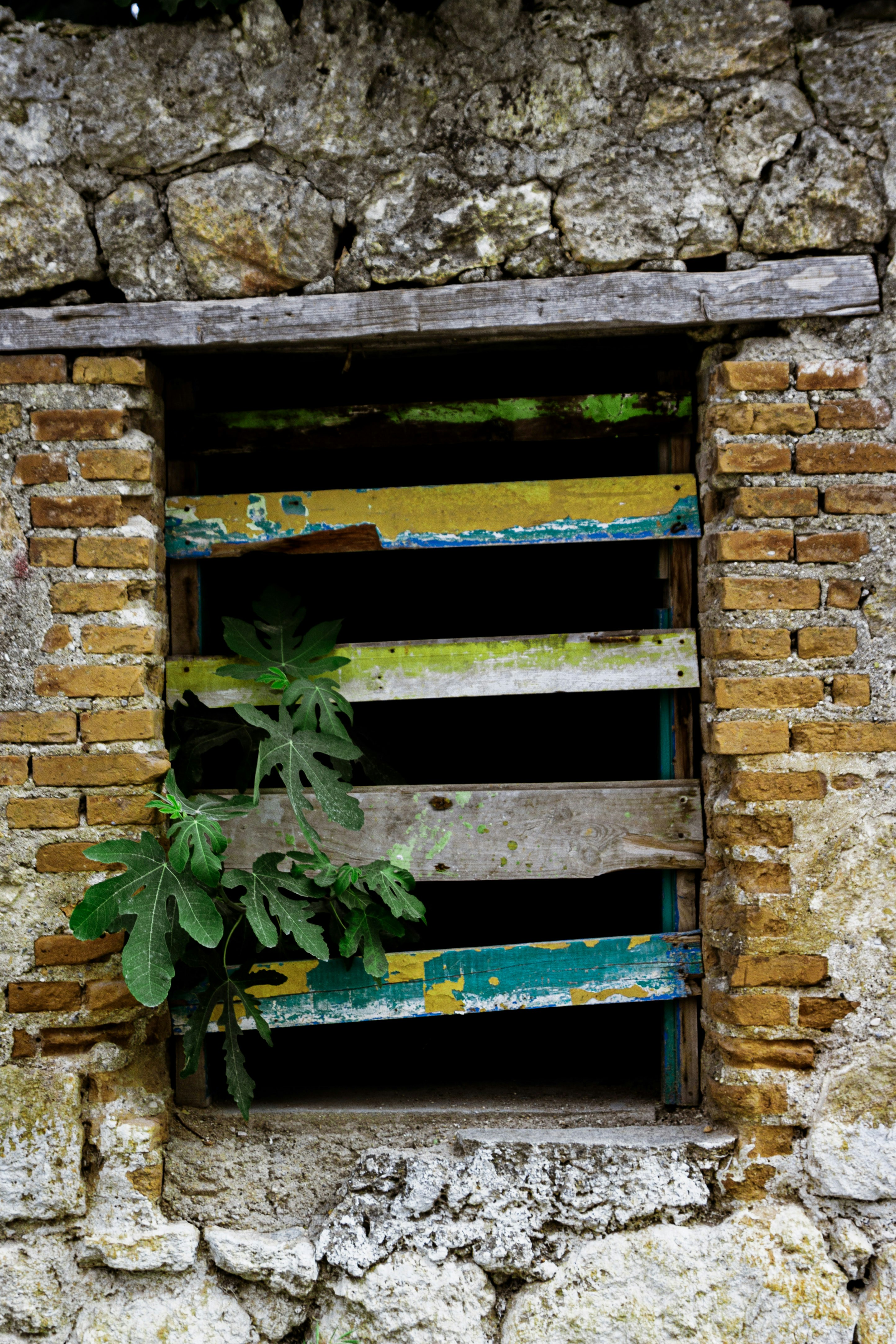 Photo by kadirsahinby