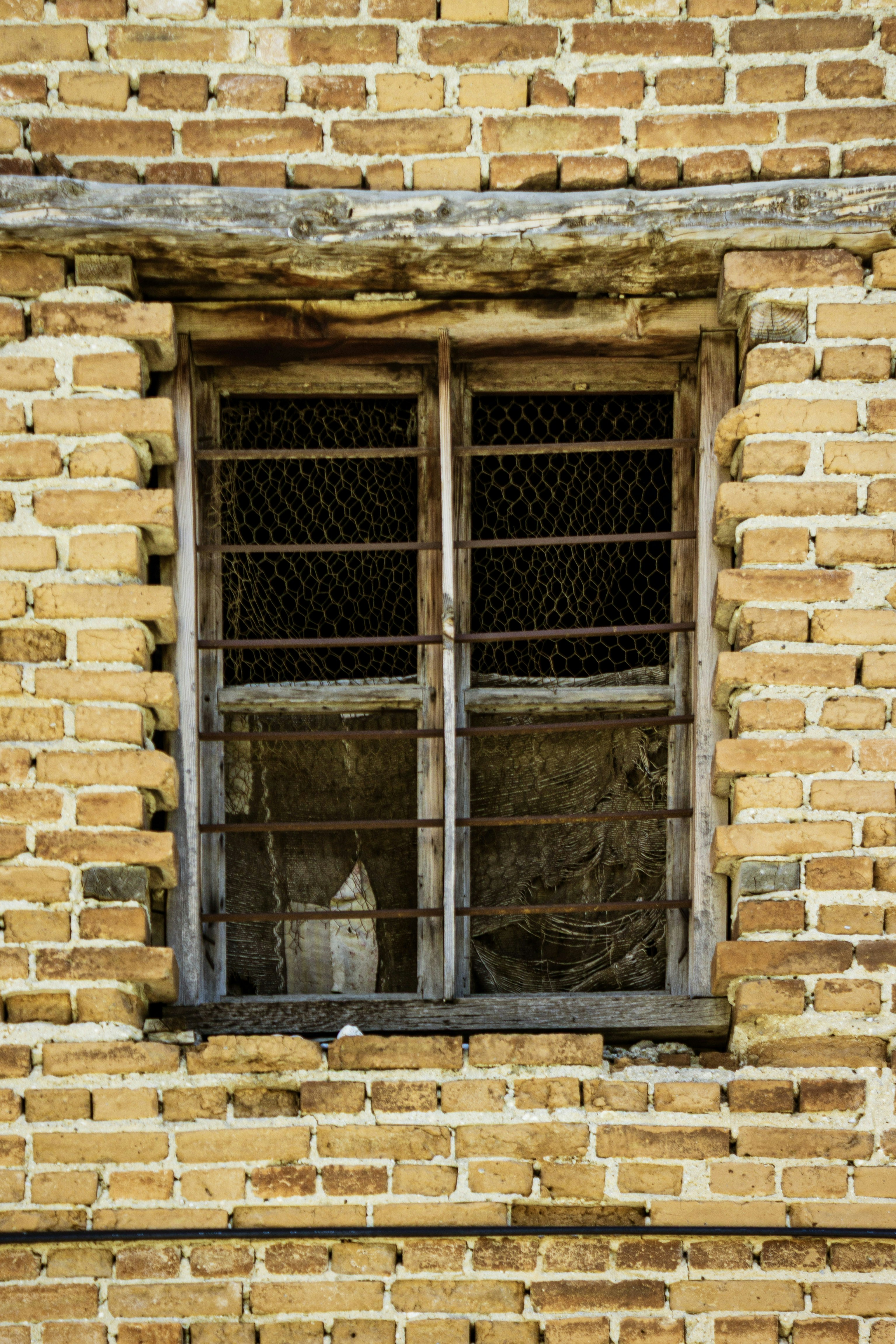 Photo by kadirsahinby