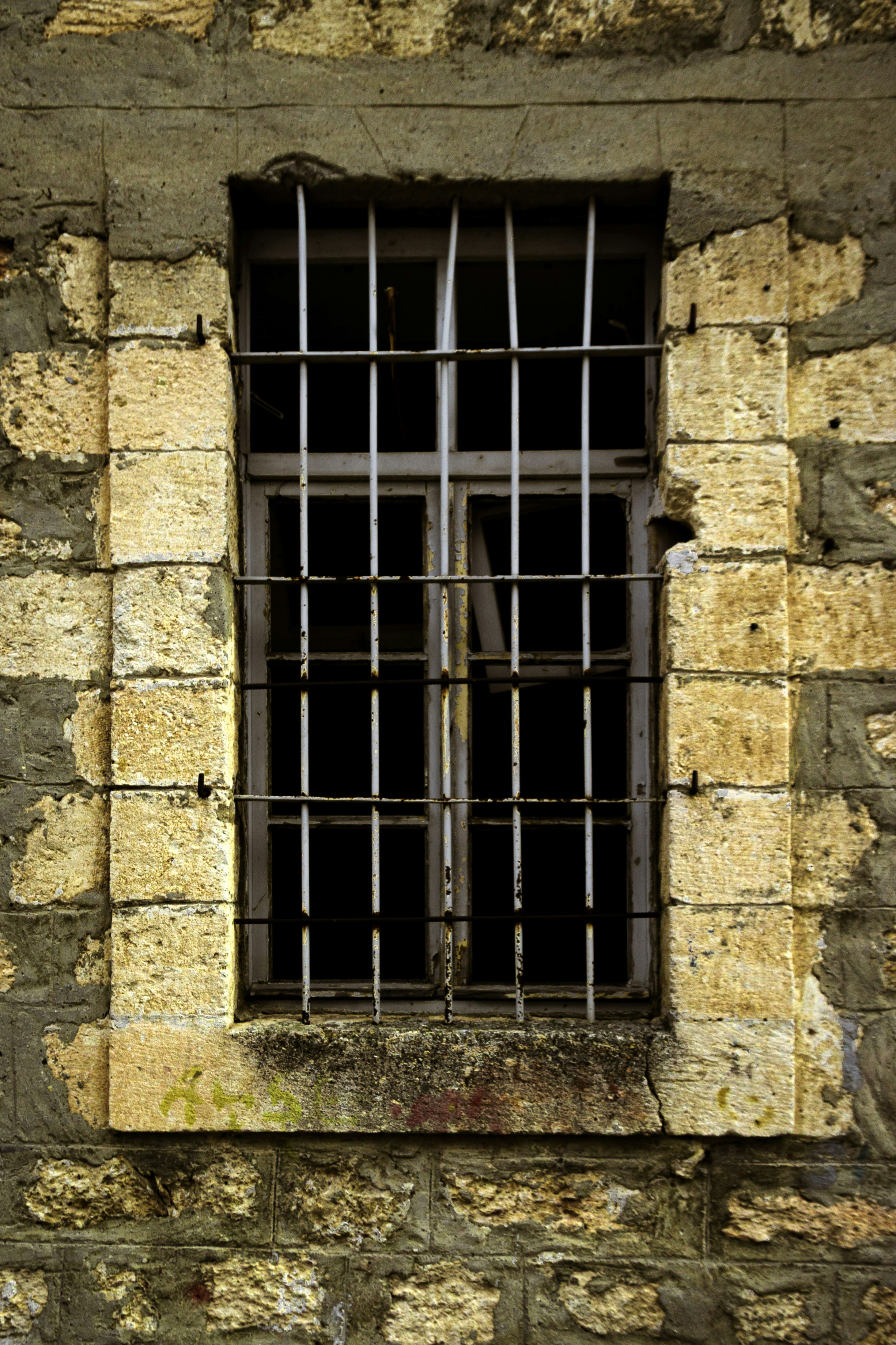 Photo by kadirsahinby