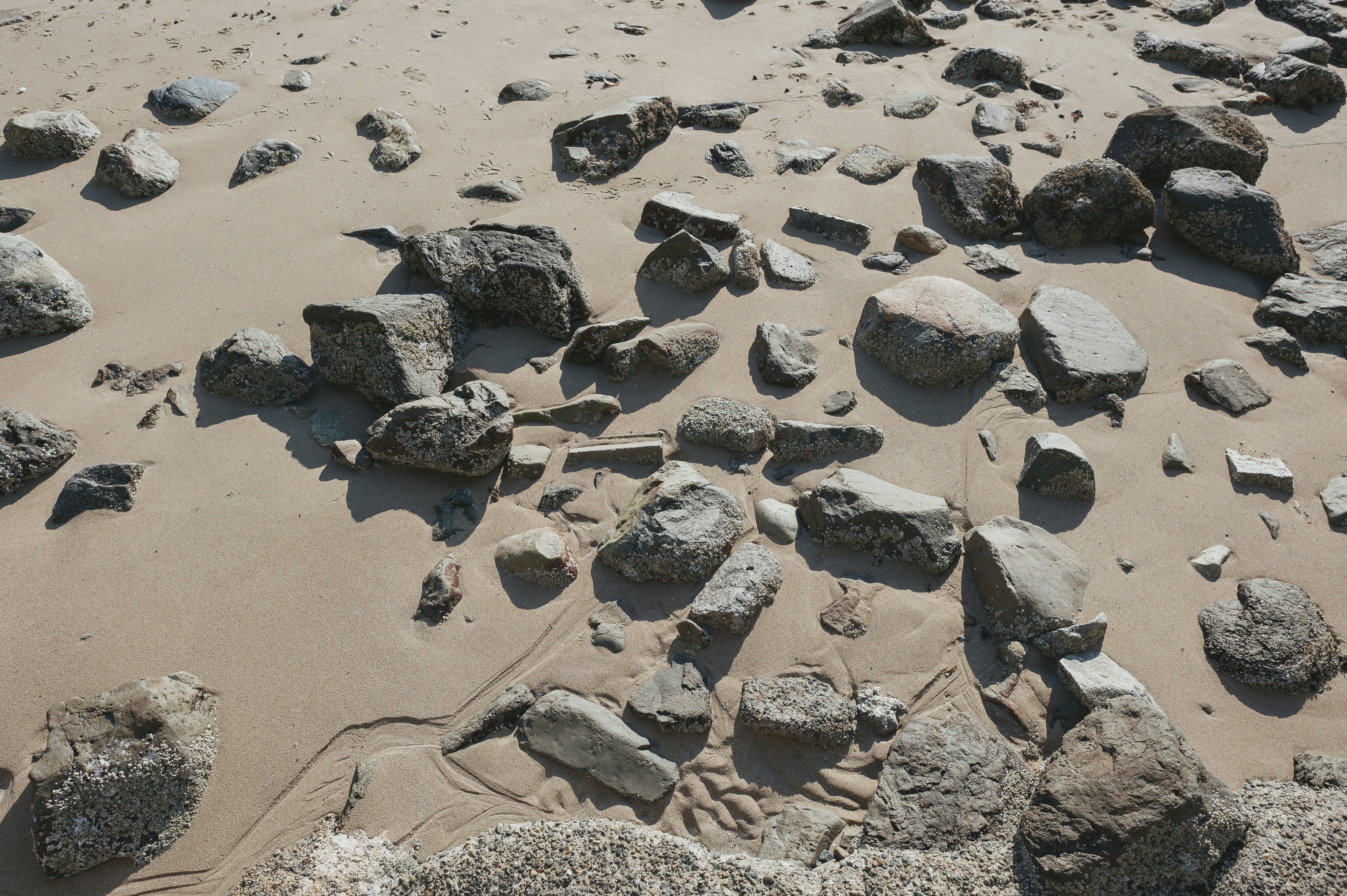 Photo by albertstoynov