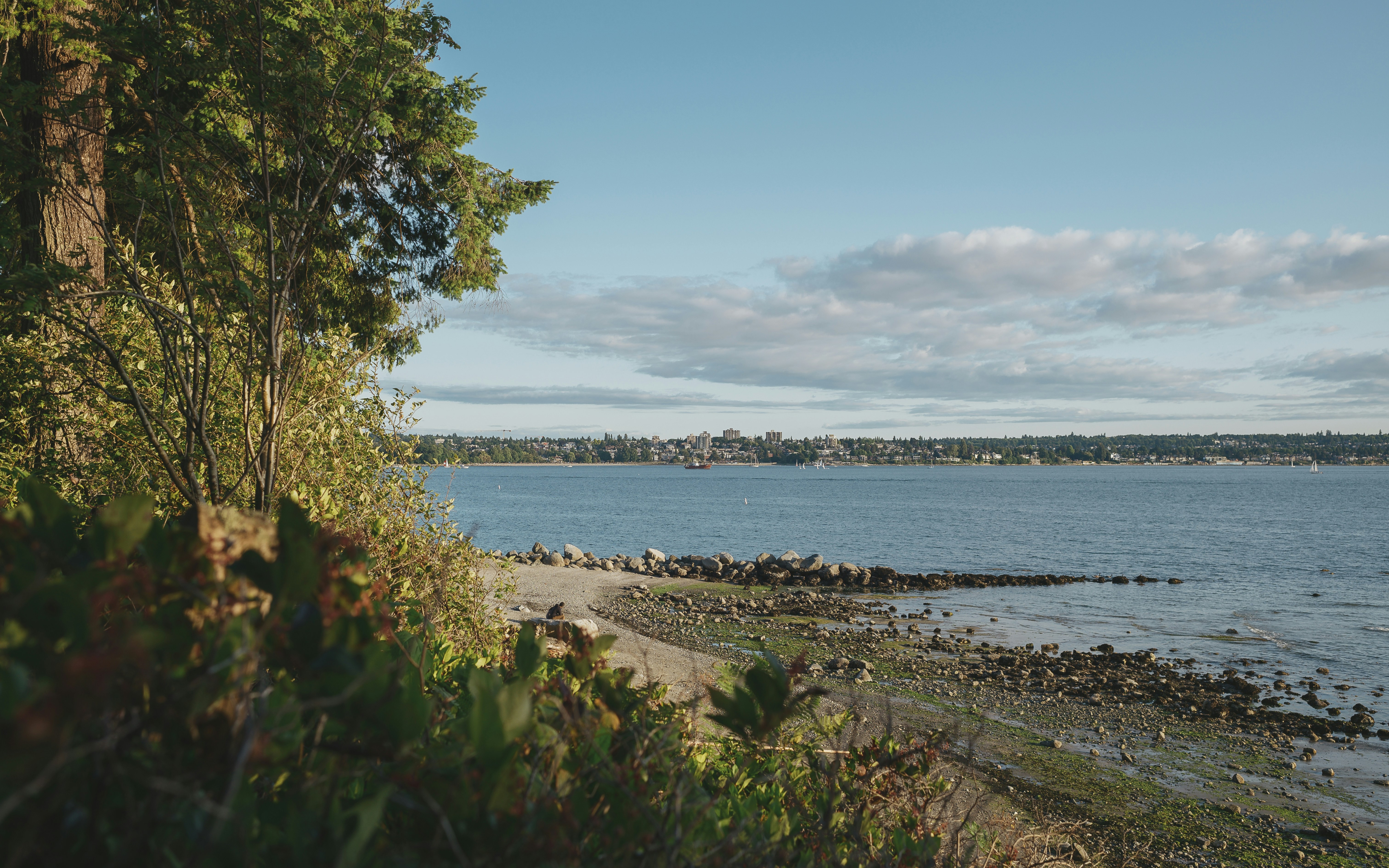 Photo by albertstoynov