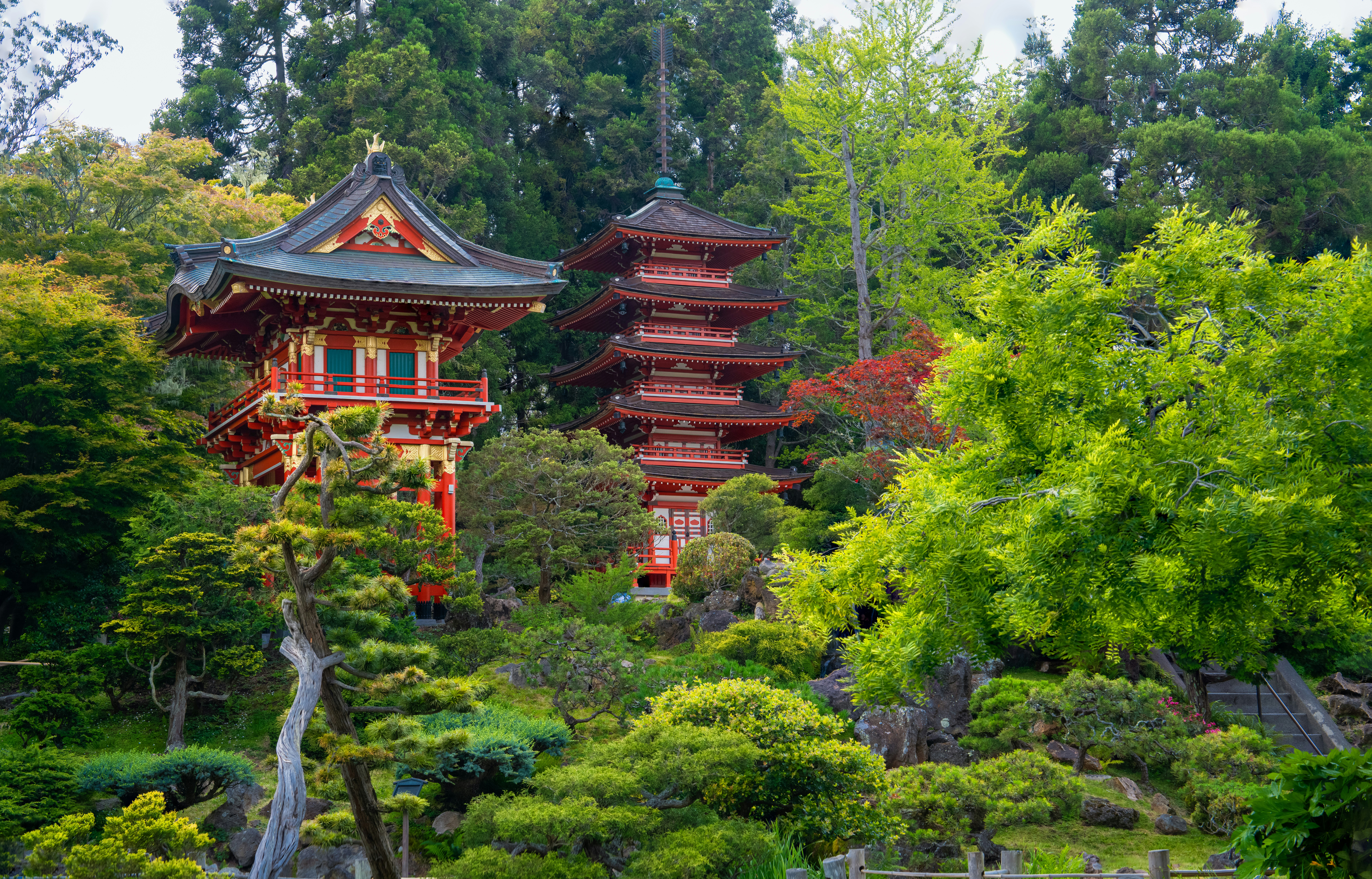 Photo by happy_pixel