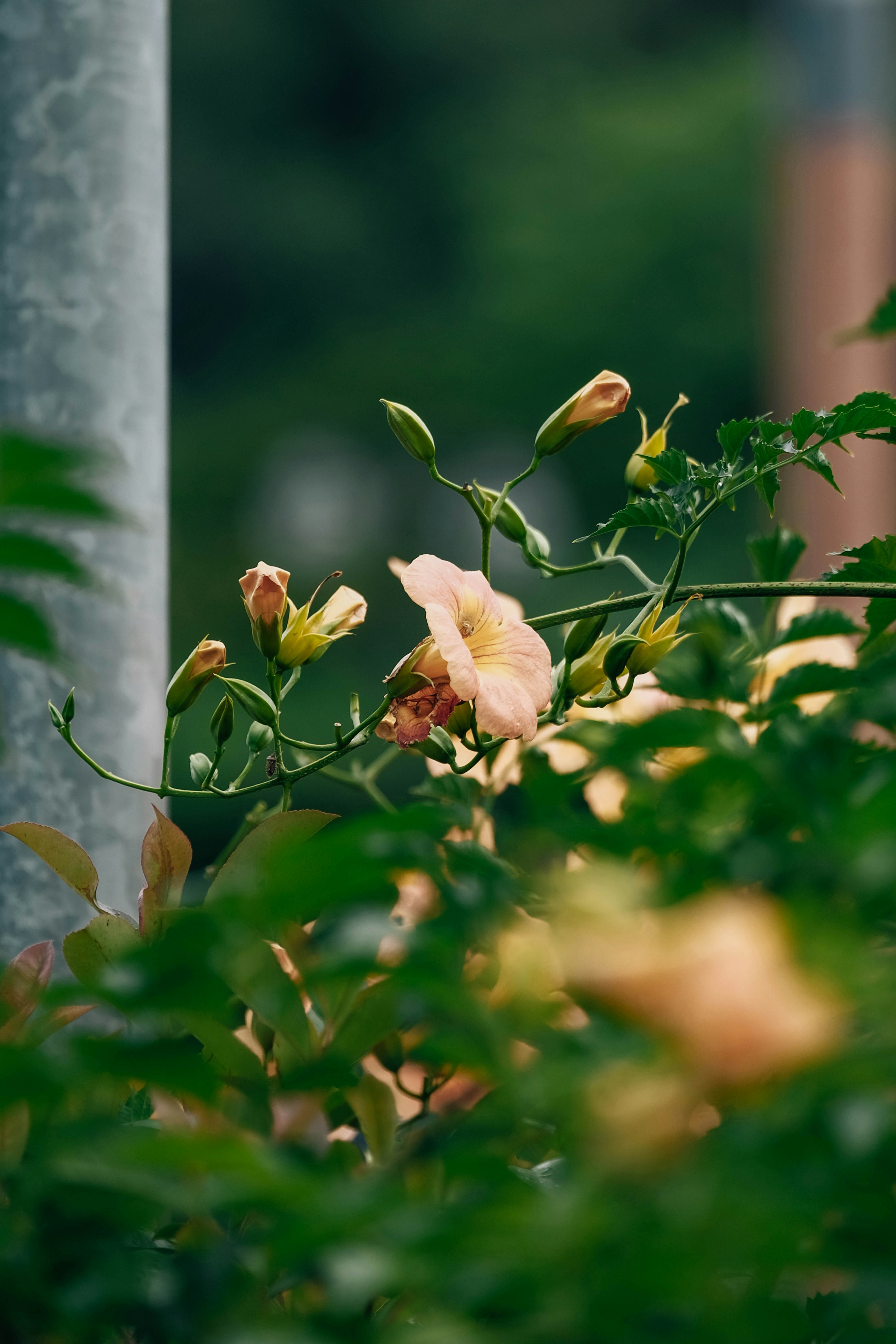 Photo by insungpandora