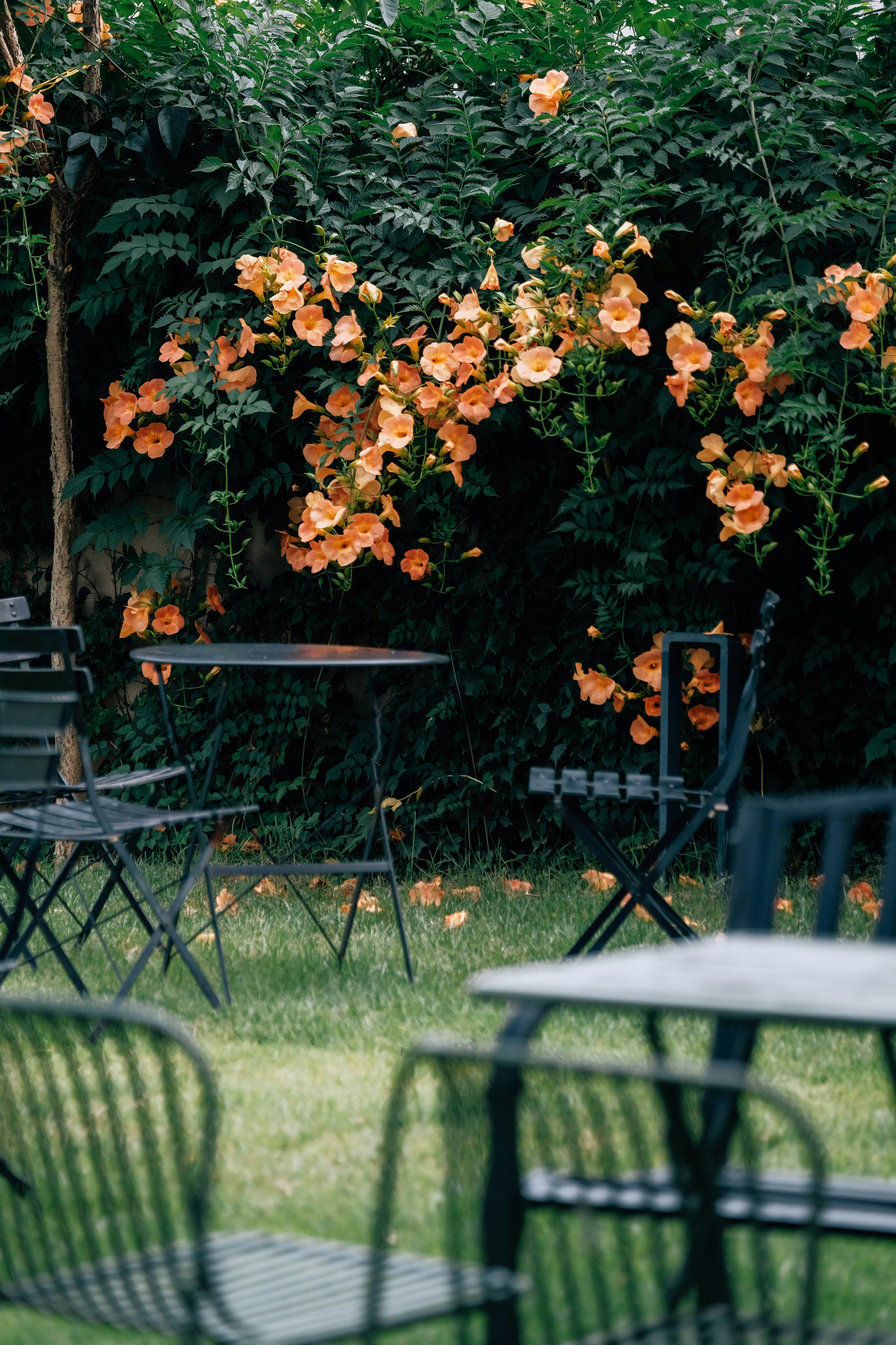 Photo by insungpandora