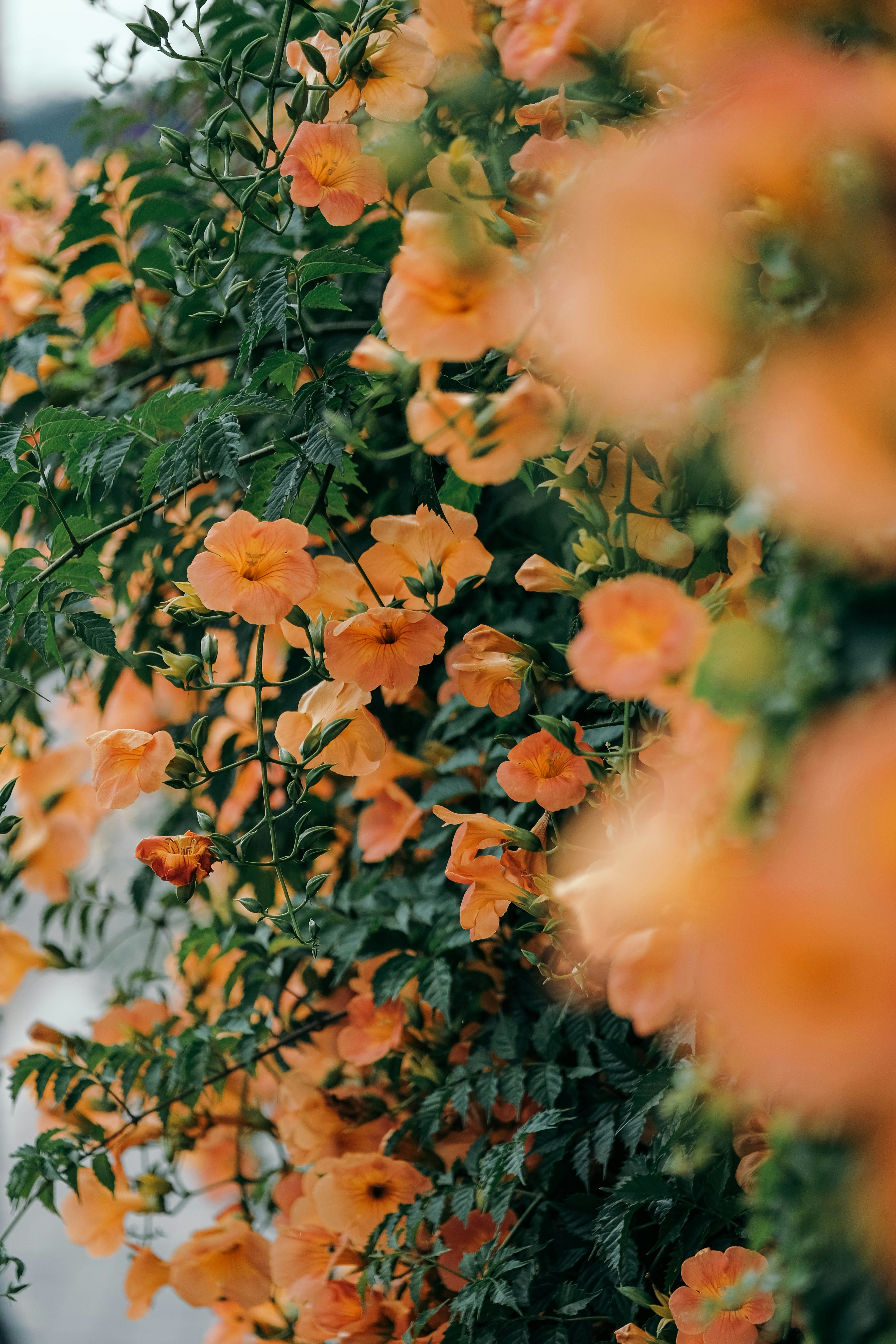 Photo by insungpandora