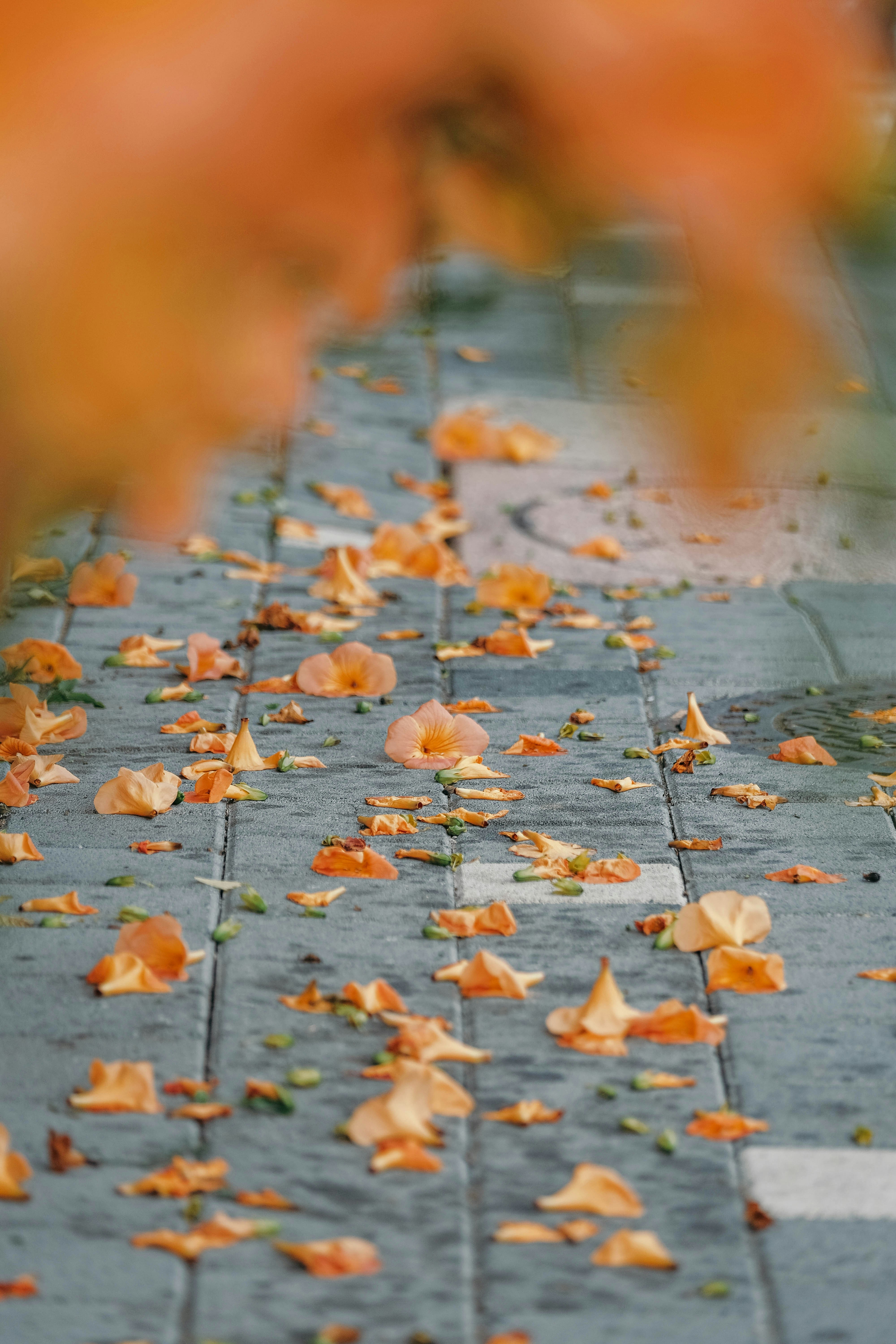 Photo by insungpandora