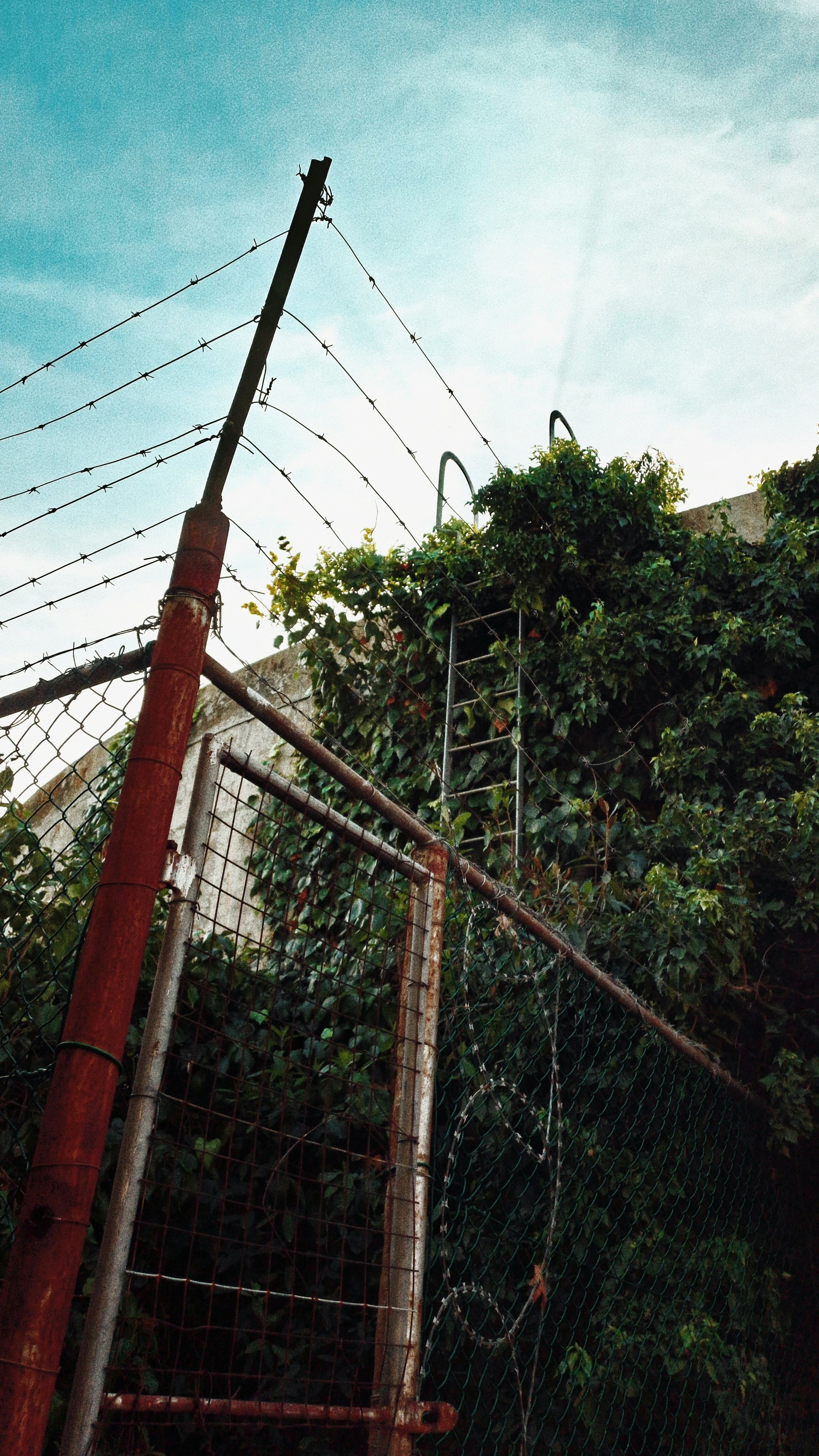 Photo by colouredmuseum