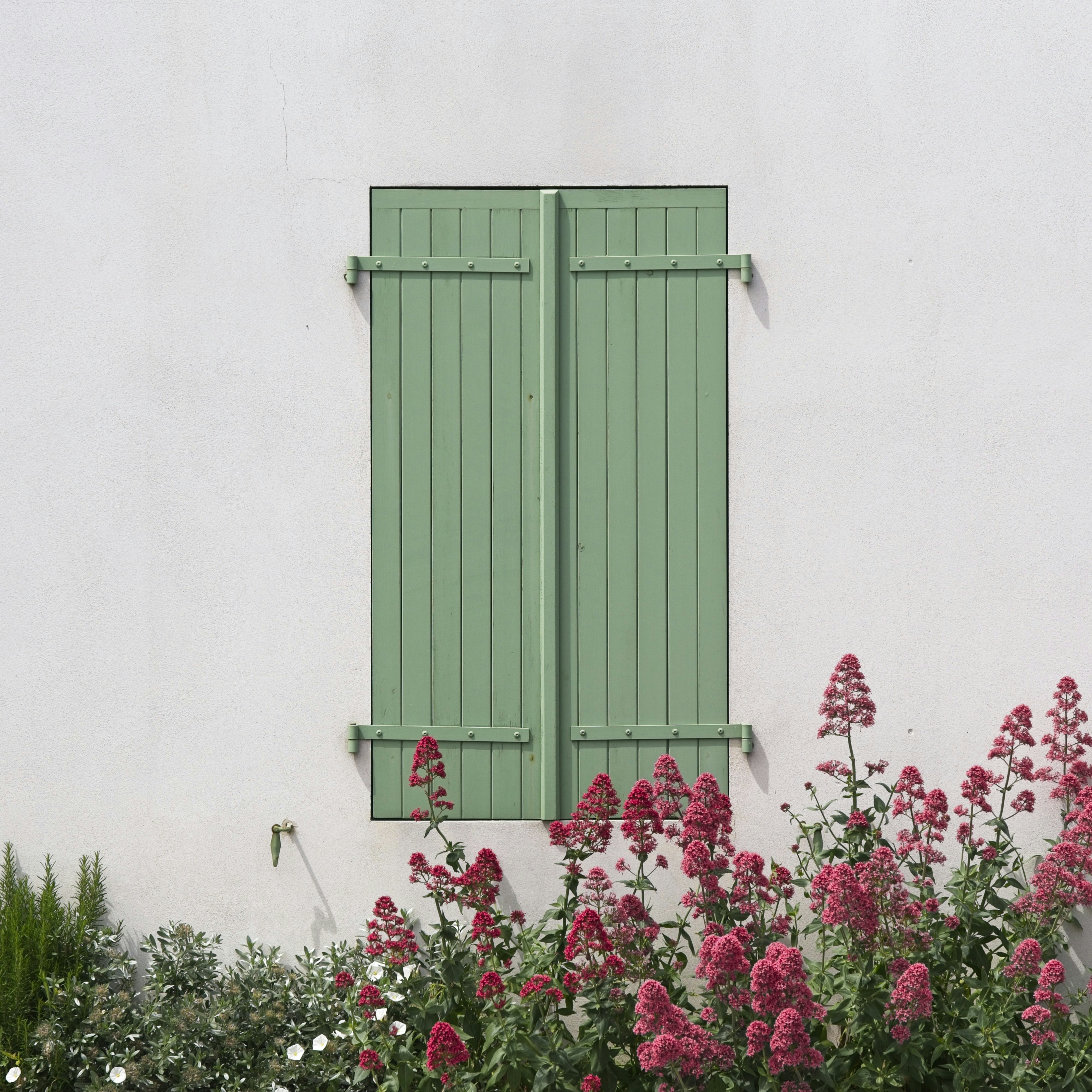 Daun jendela hijau dengan bunga merah di bawahnya.