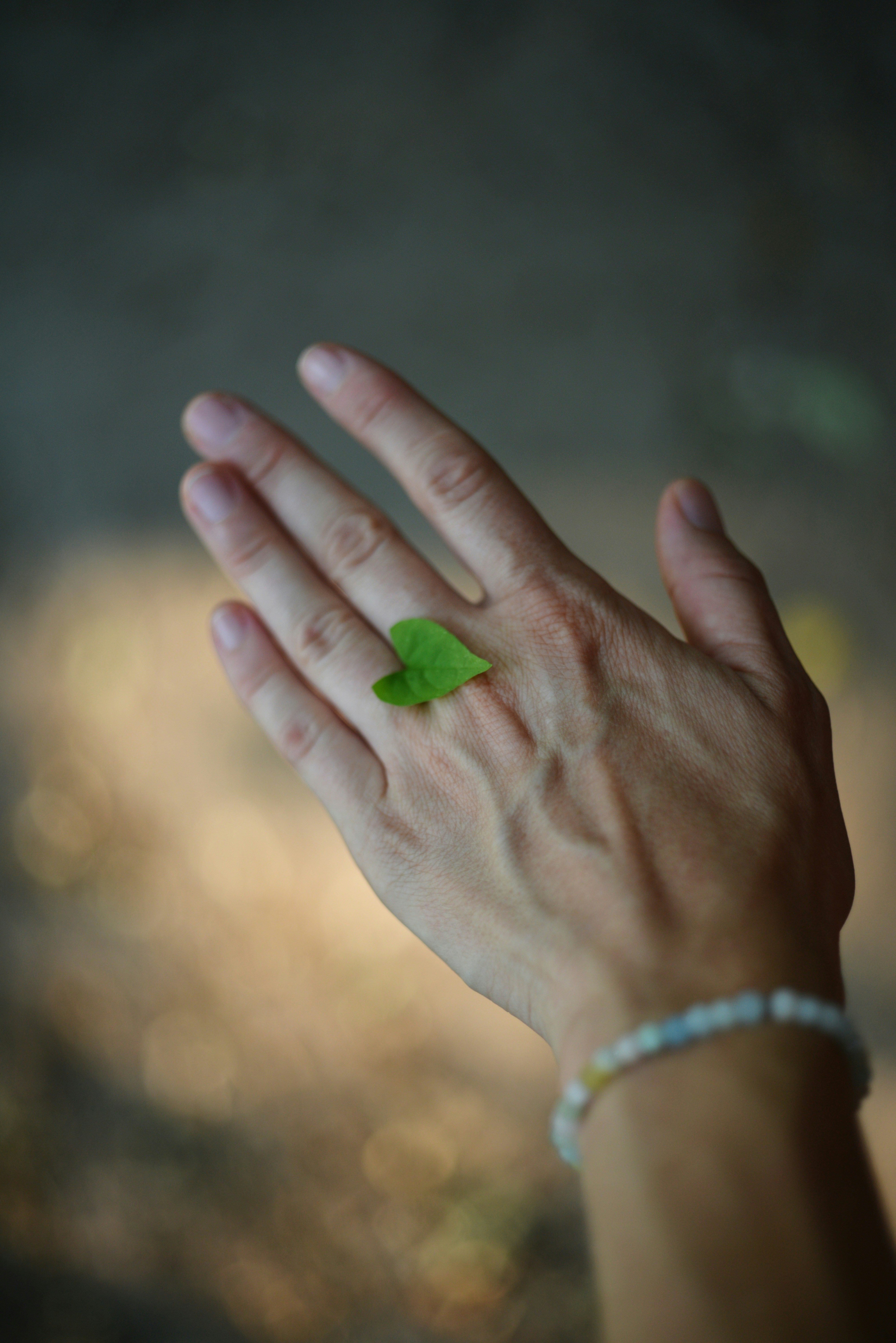 Photo by cherstve_pechivo