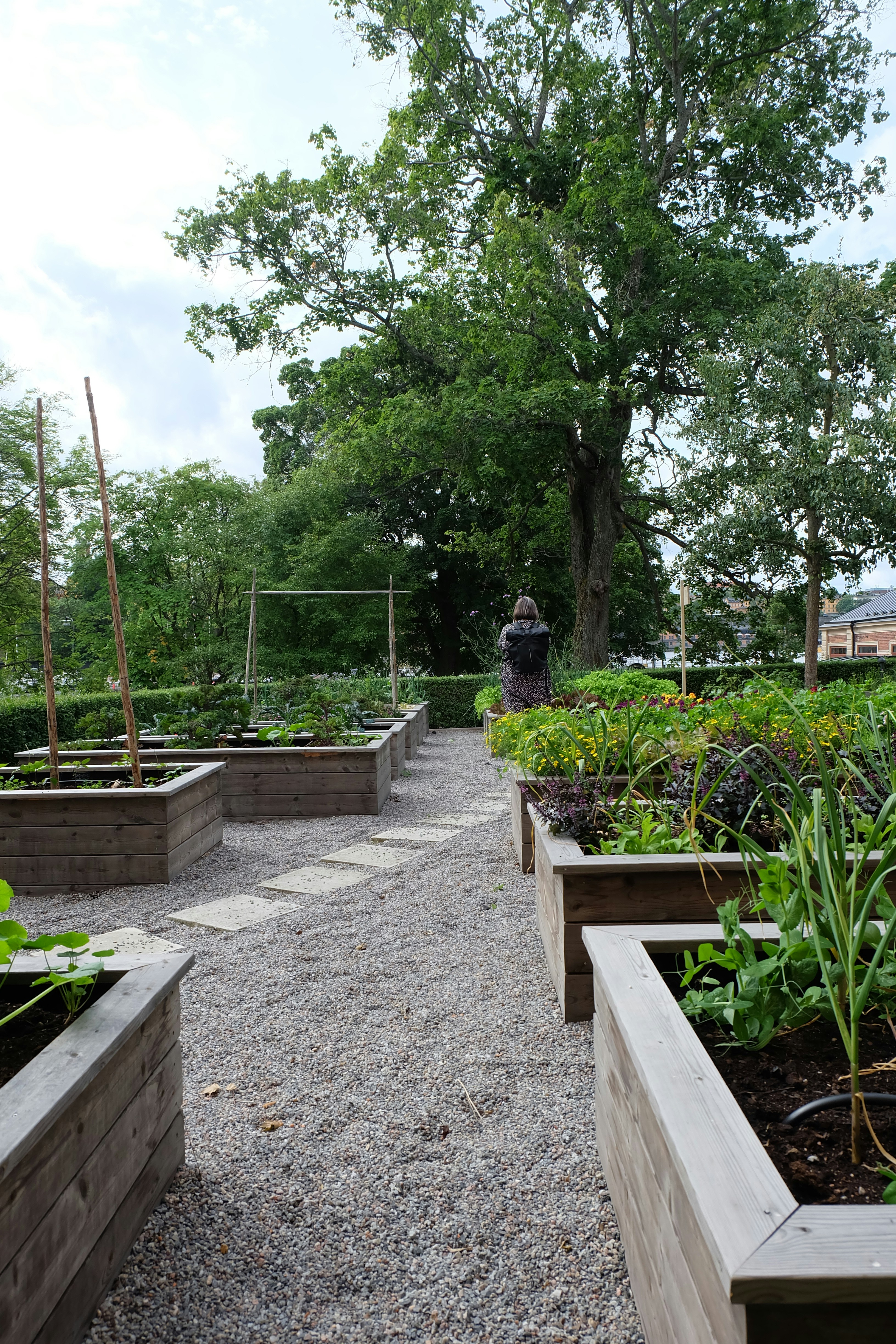 Vegetable garden with raised beds and a stone path.