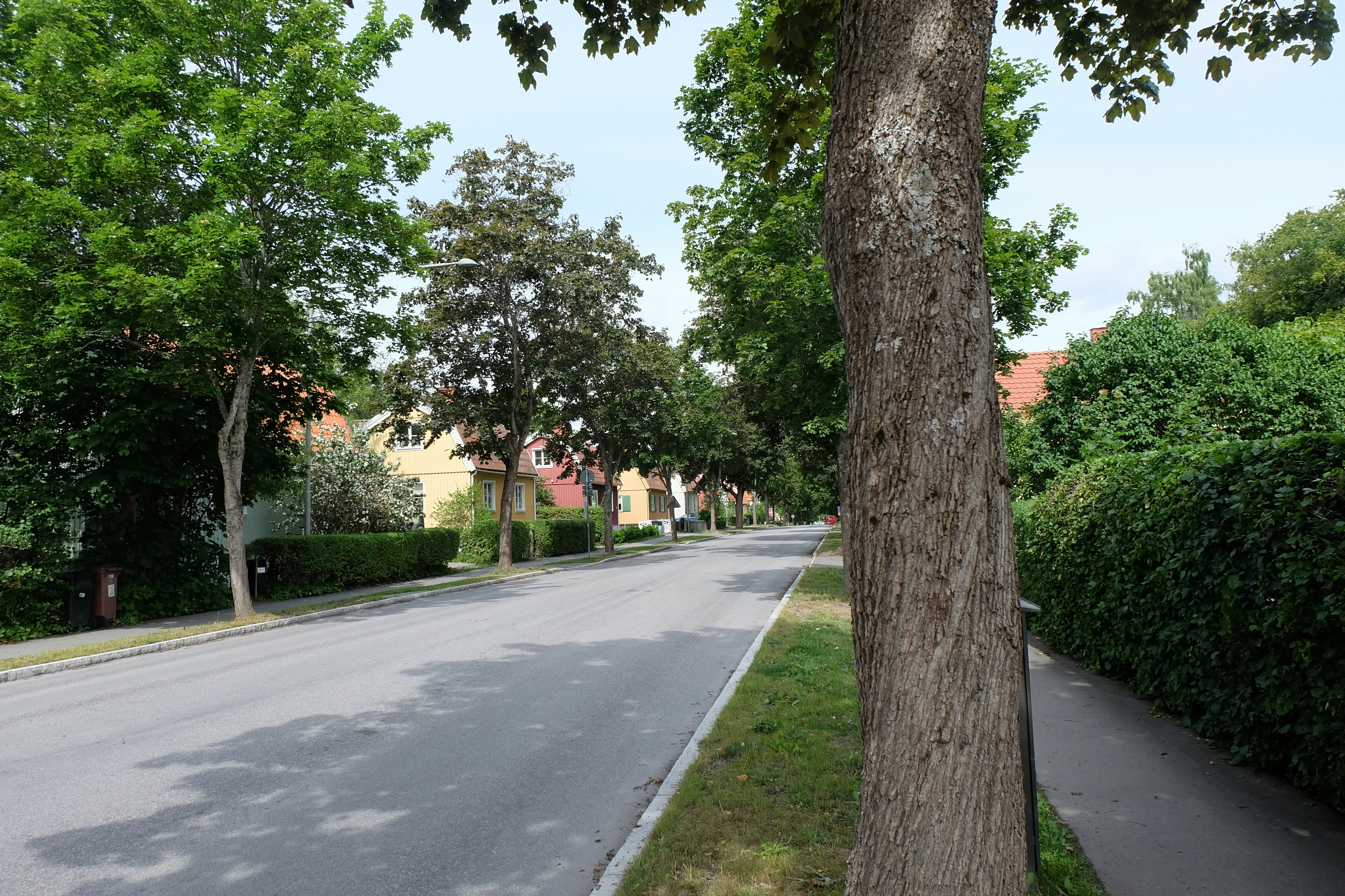 Stockholm Södermalm residential street