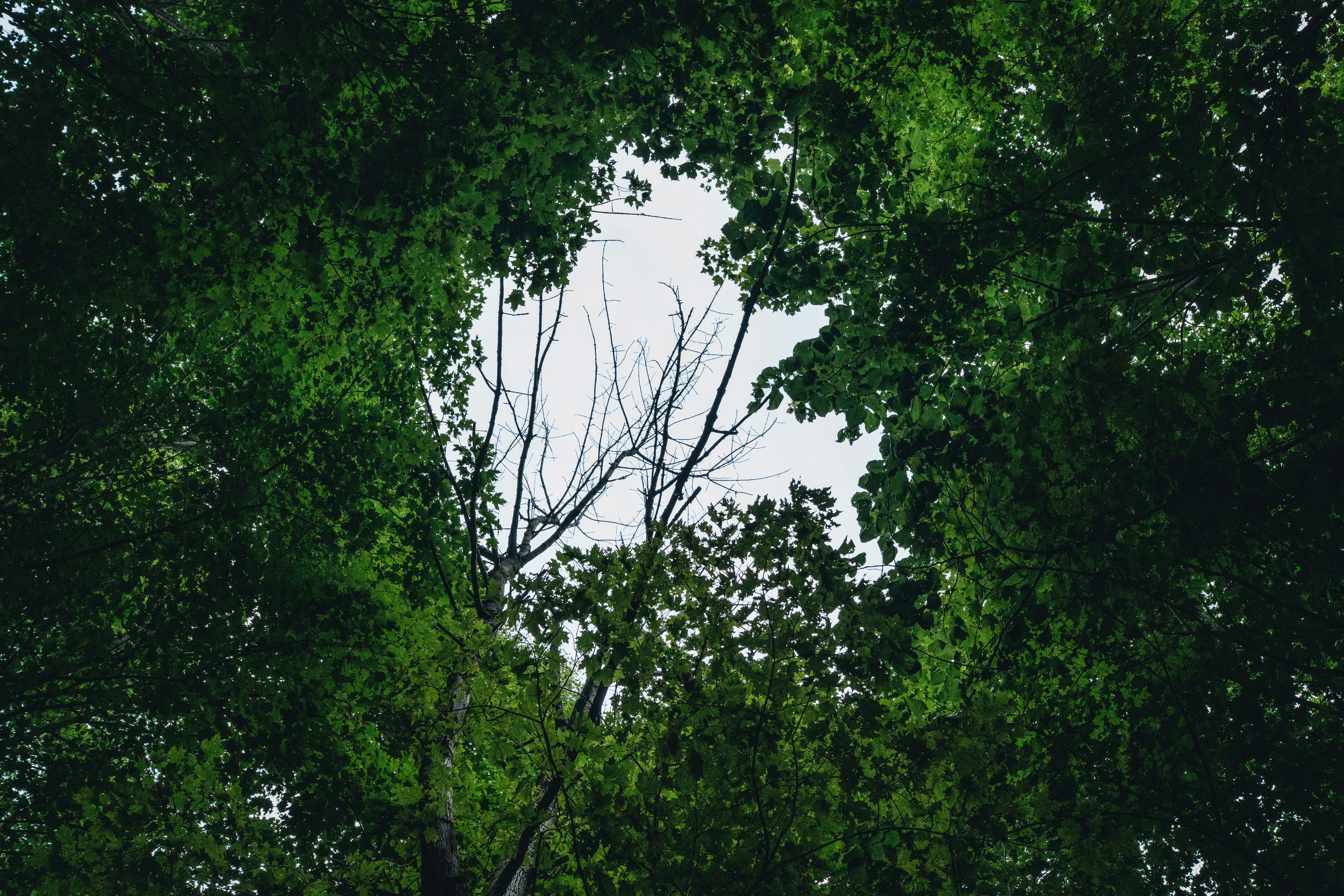 Photo by user90807060