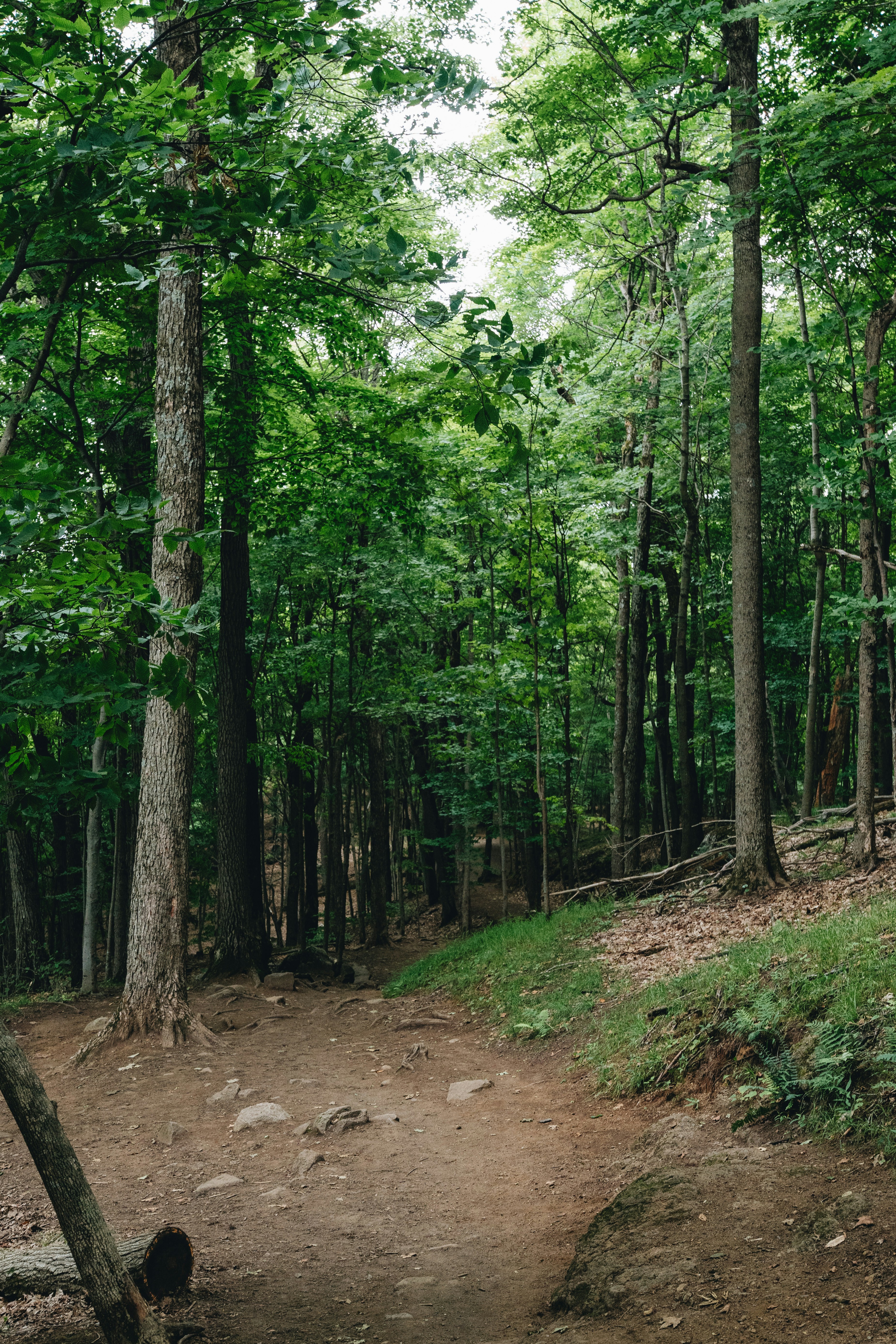 Photo by user90807060