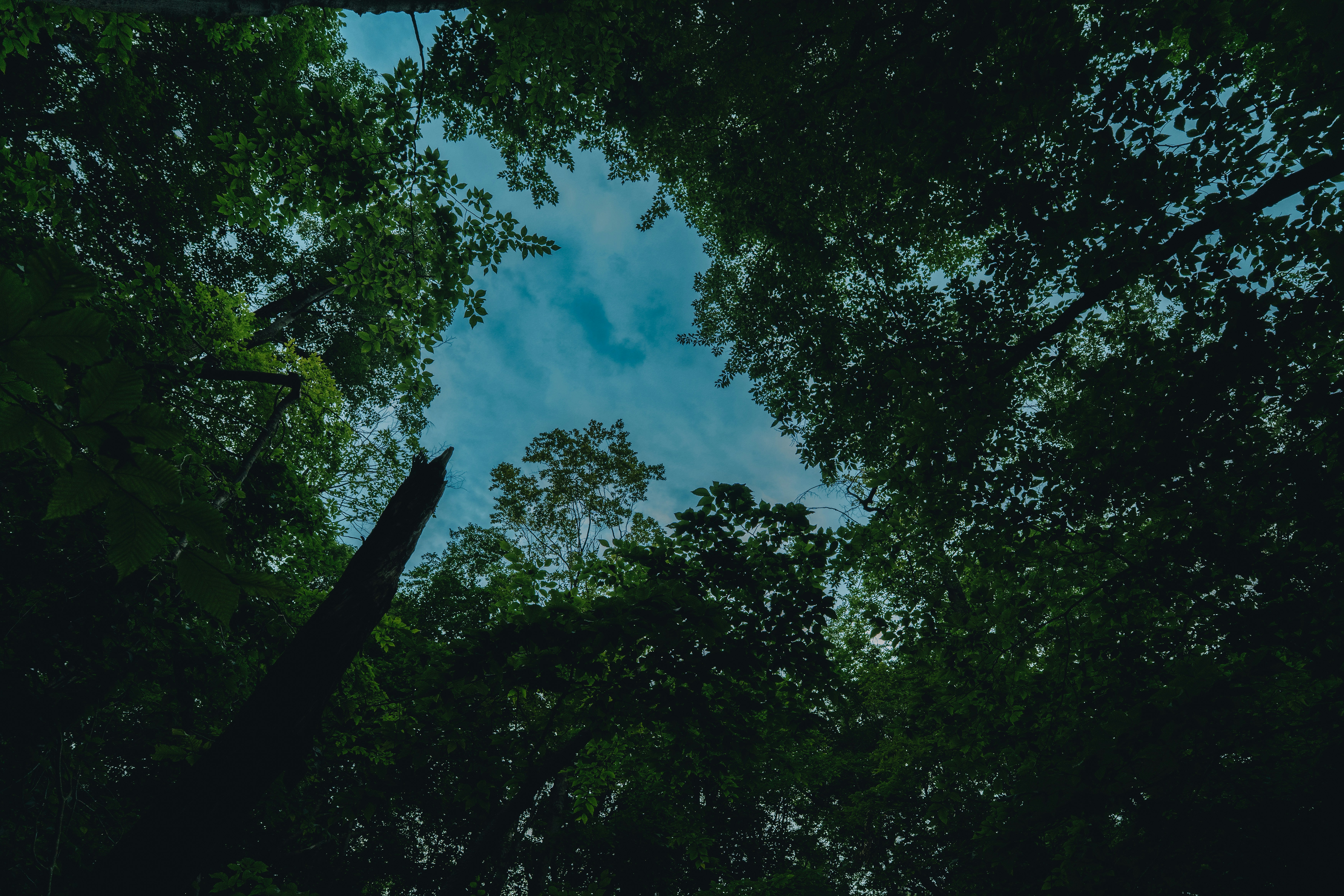 Photo by user90807060