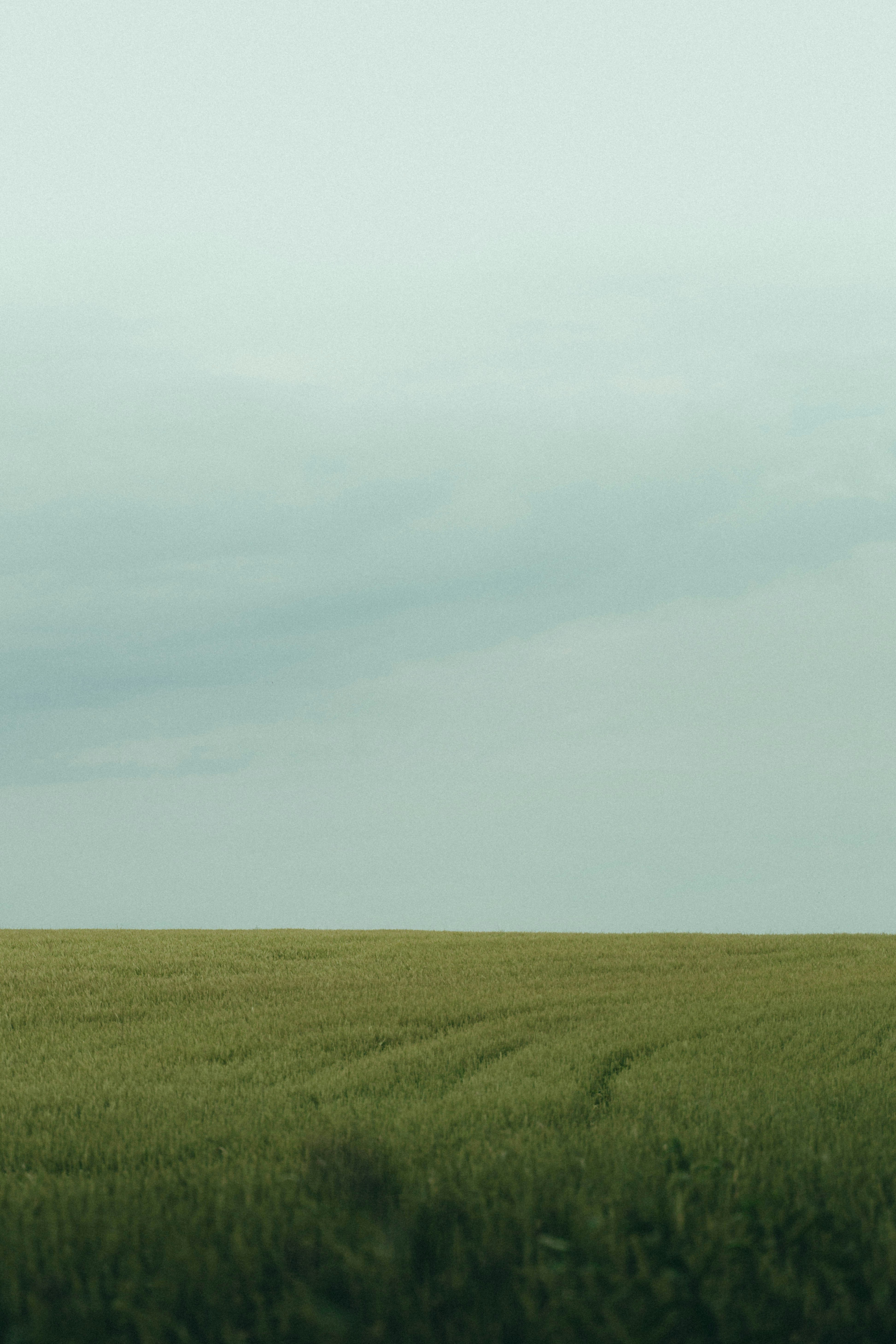 Photo by abalashevsky