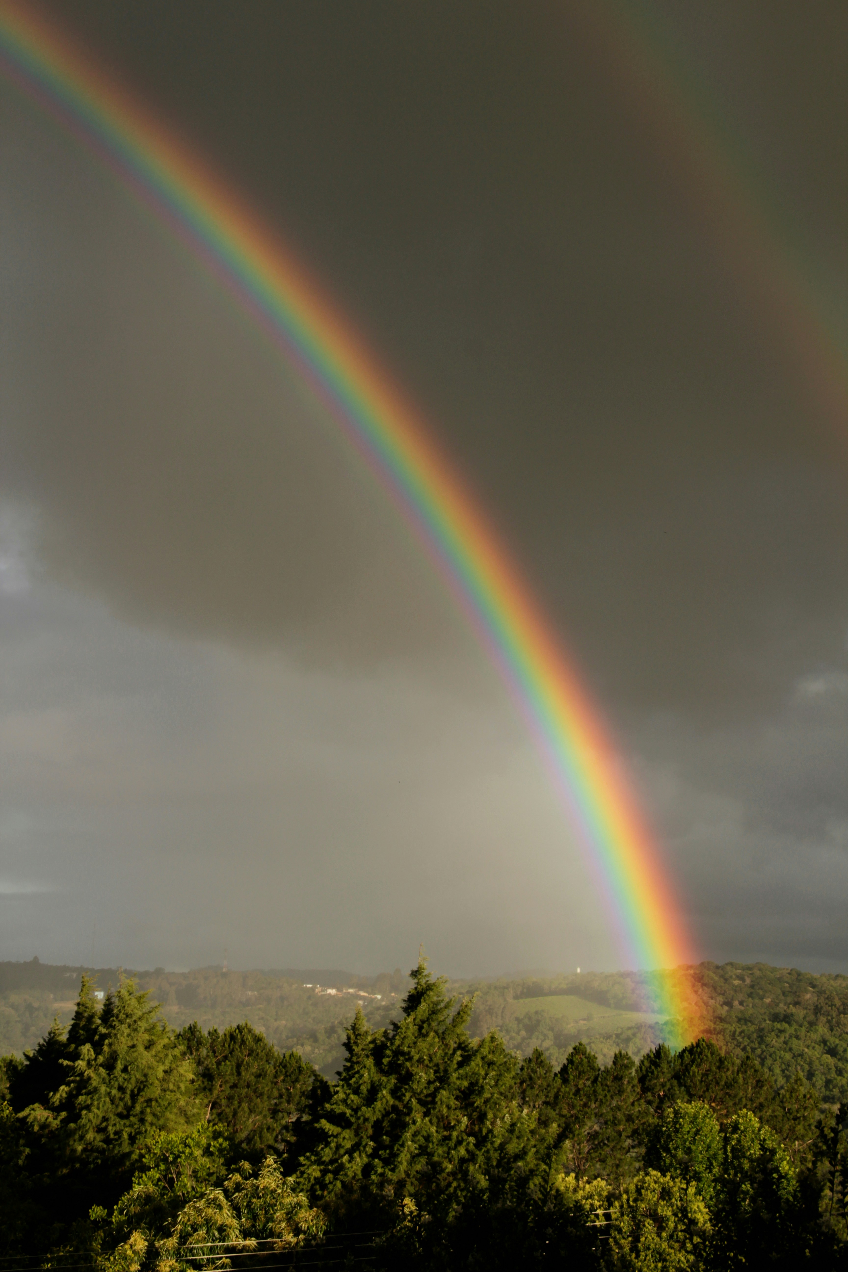 Photo by carlostoigo