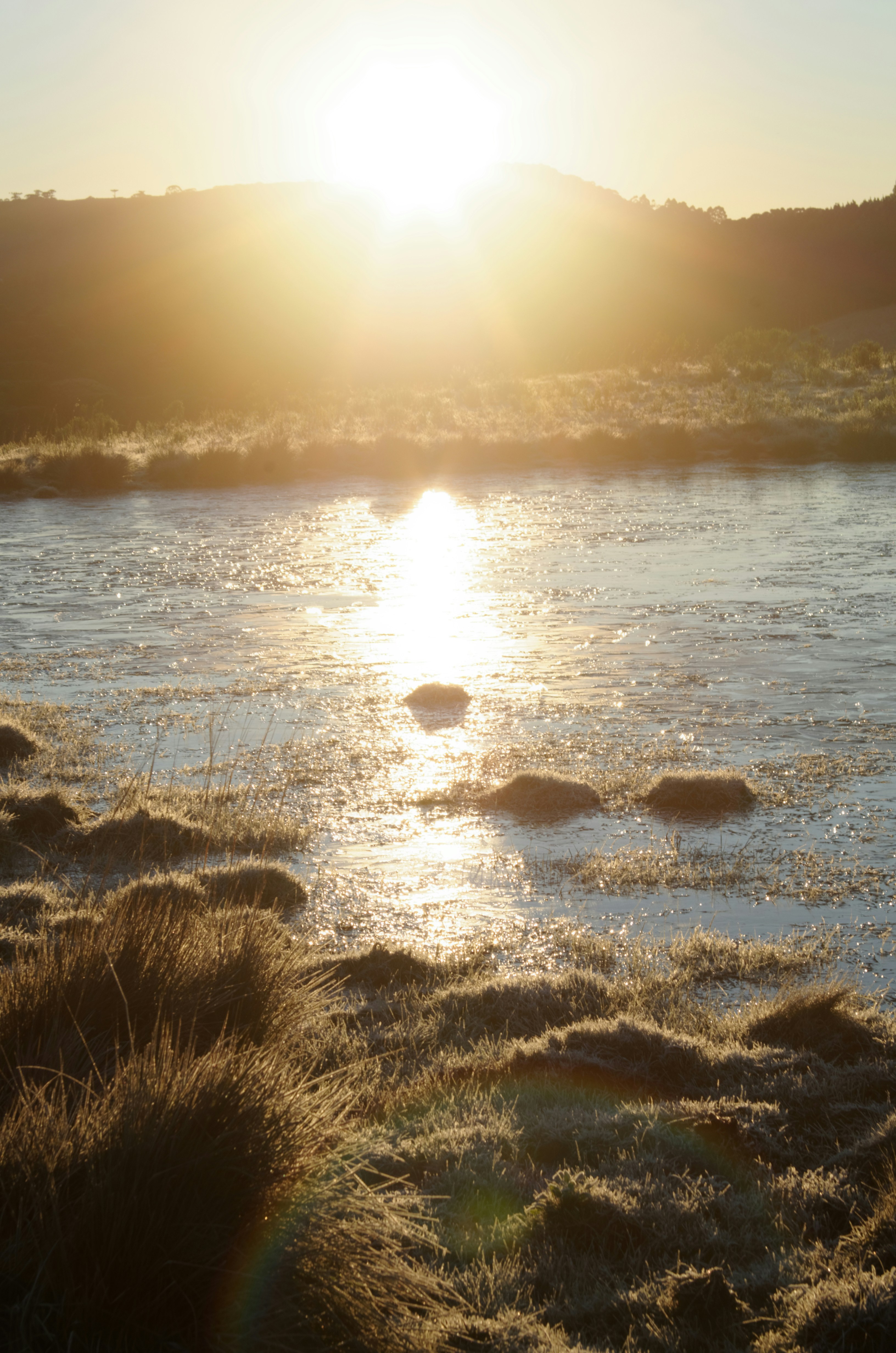 Sunrise illuminates a river and frosted landscape.