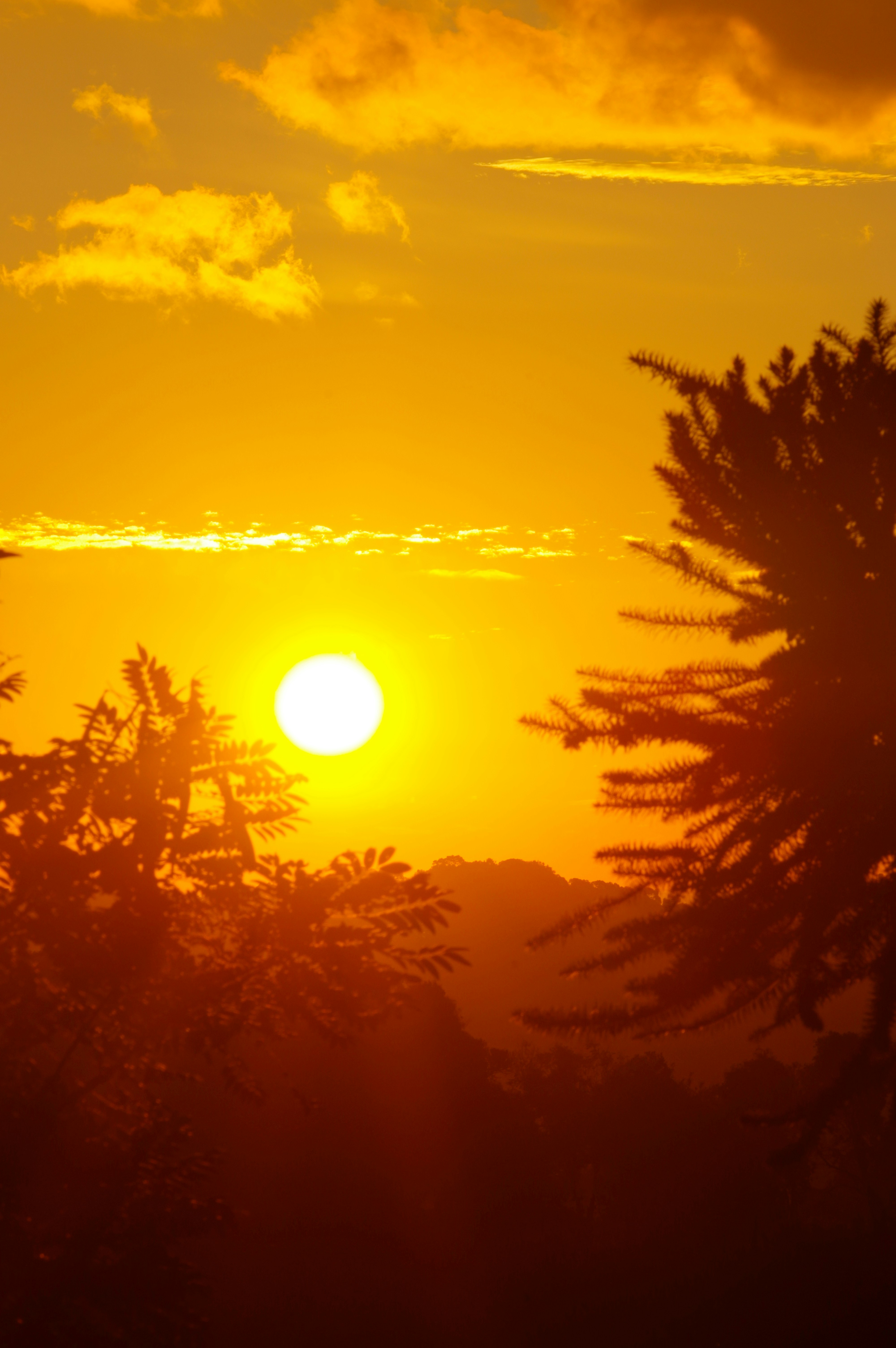 Photo by carlostoigo