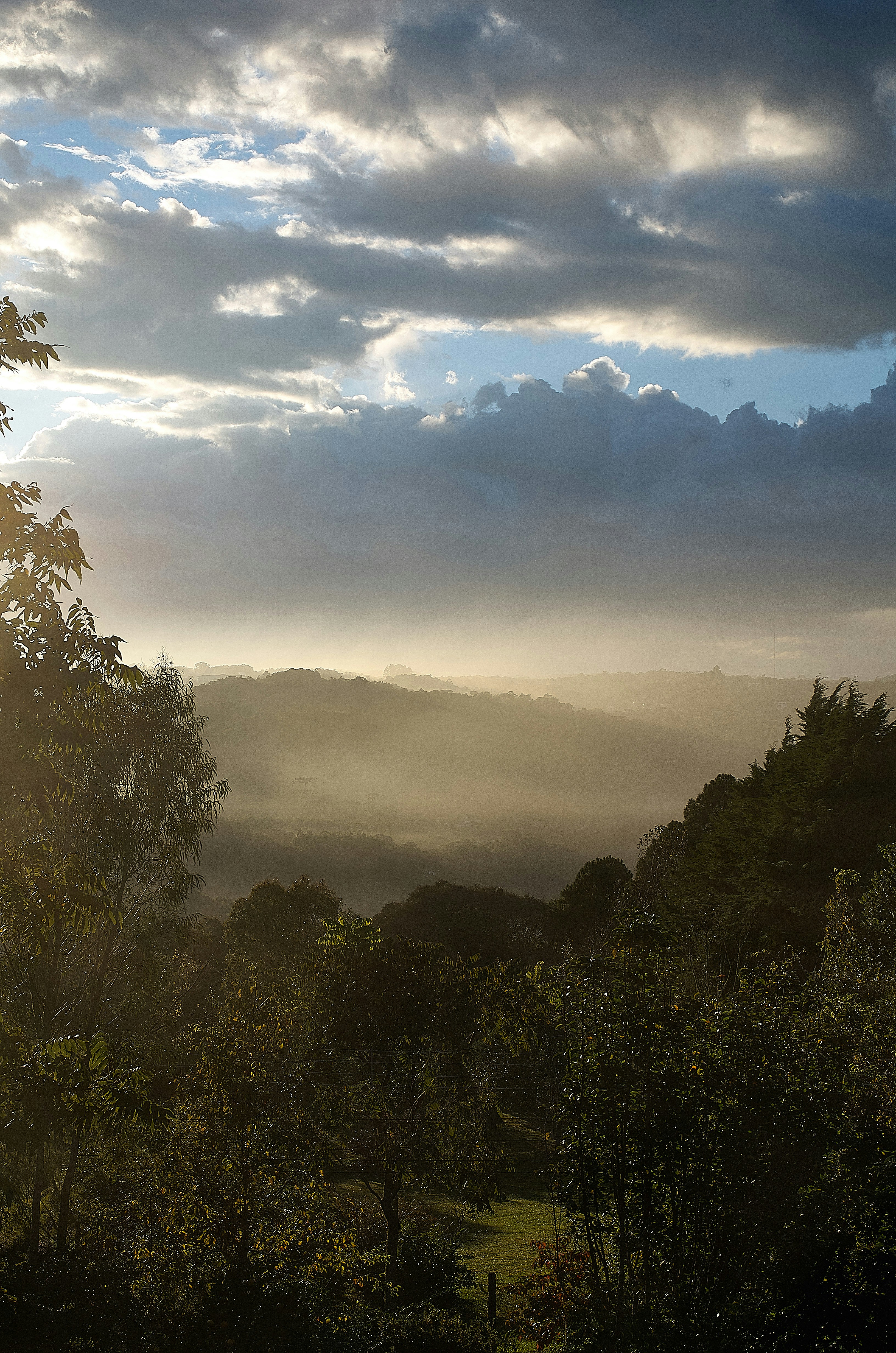 Photo by carlostoigo