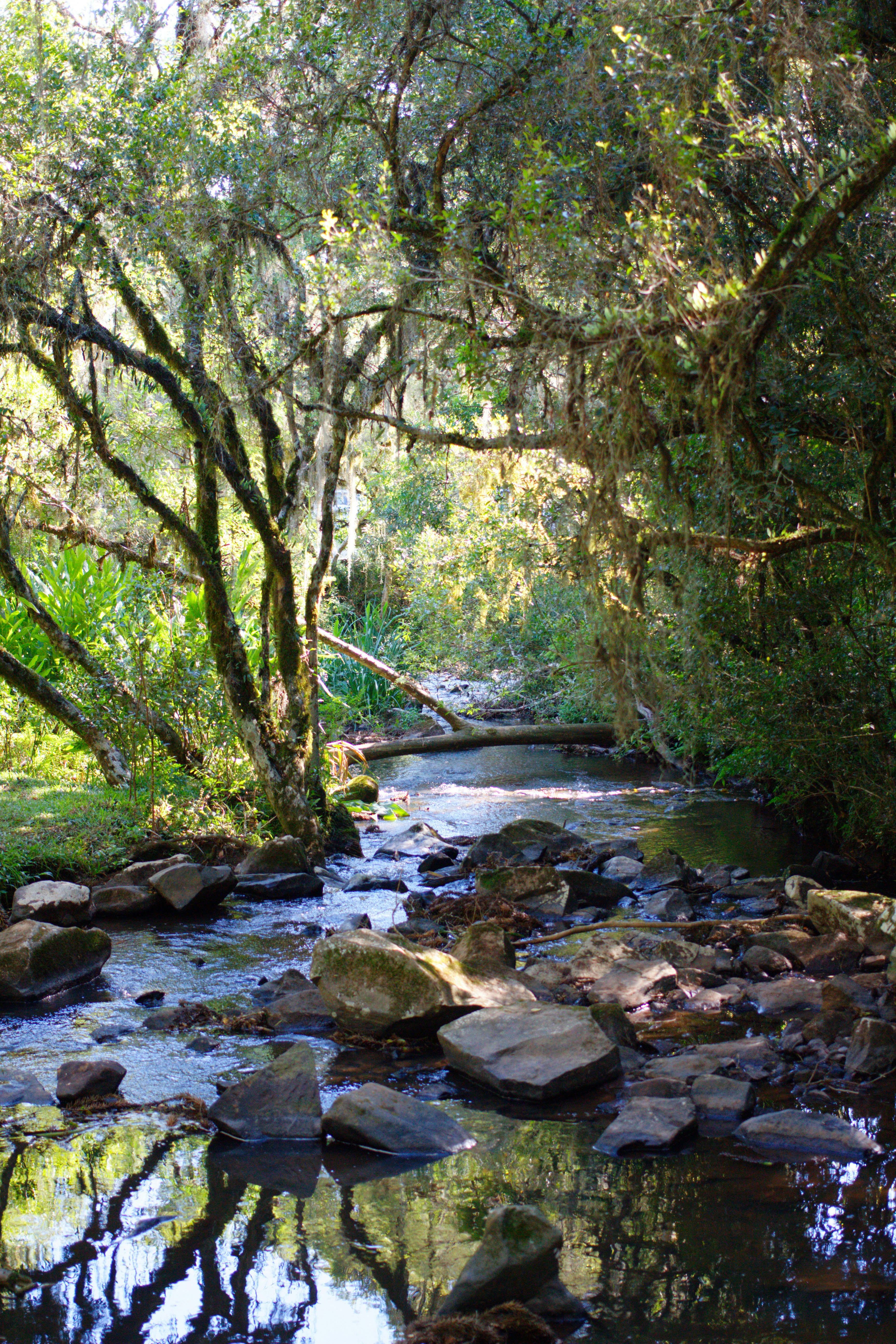 Photo by carlostoigo