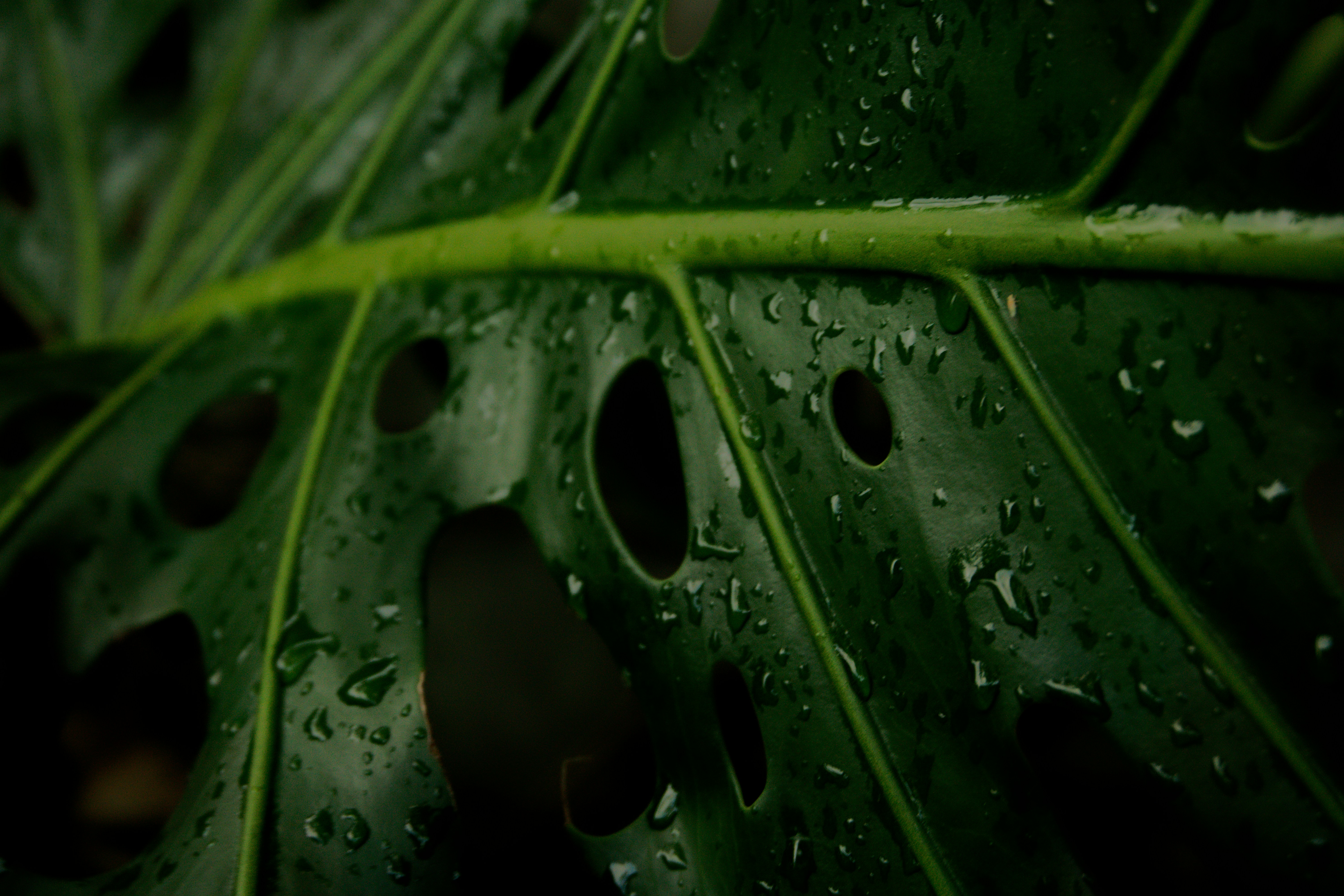 Photo by carlostoigo