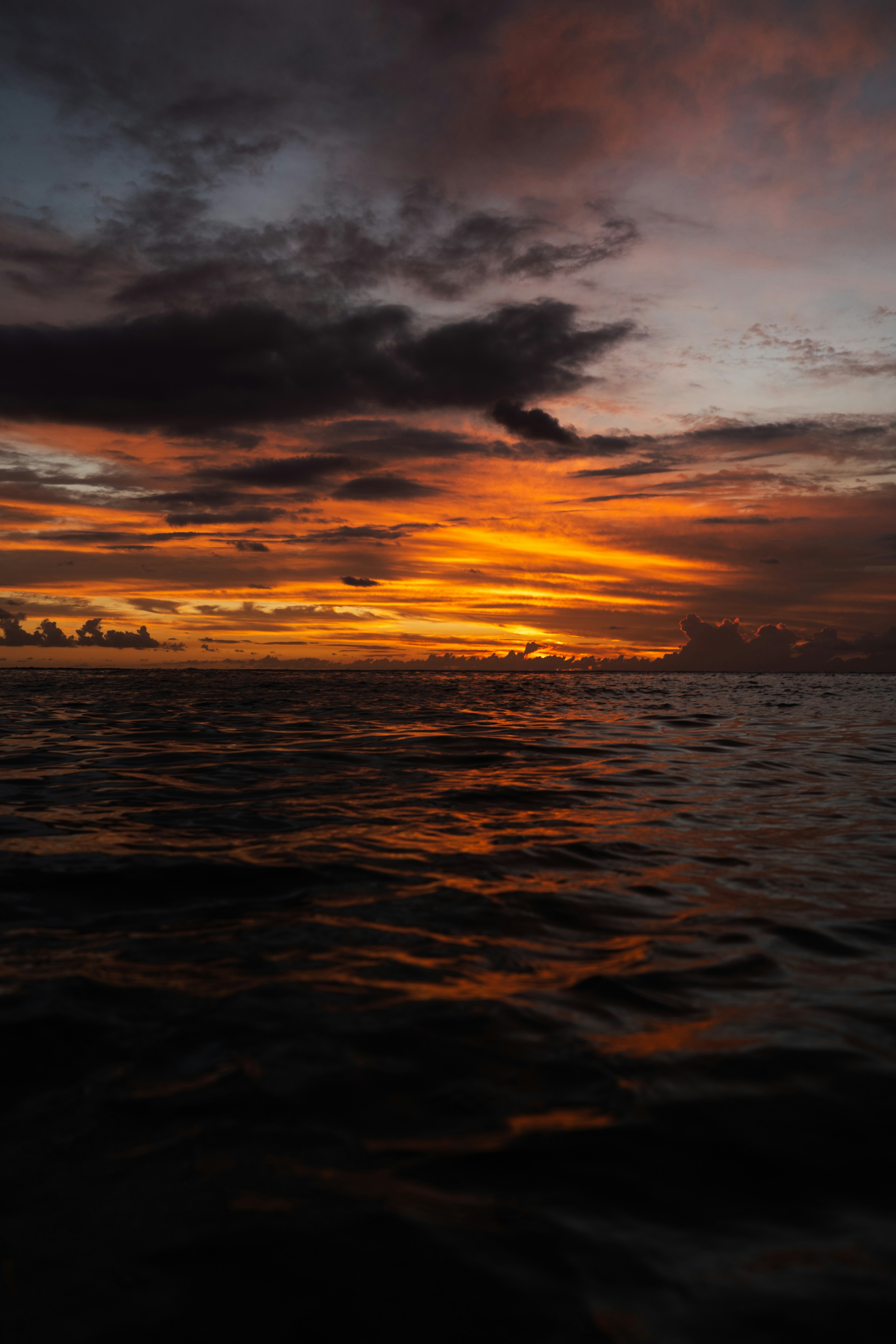 Photo by benjamin_photo_lab
