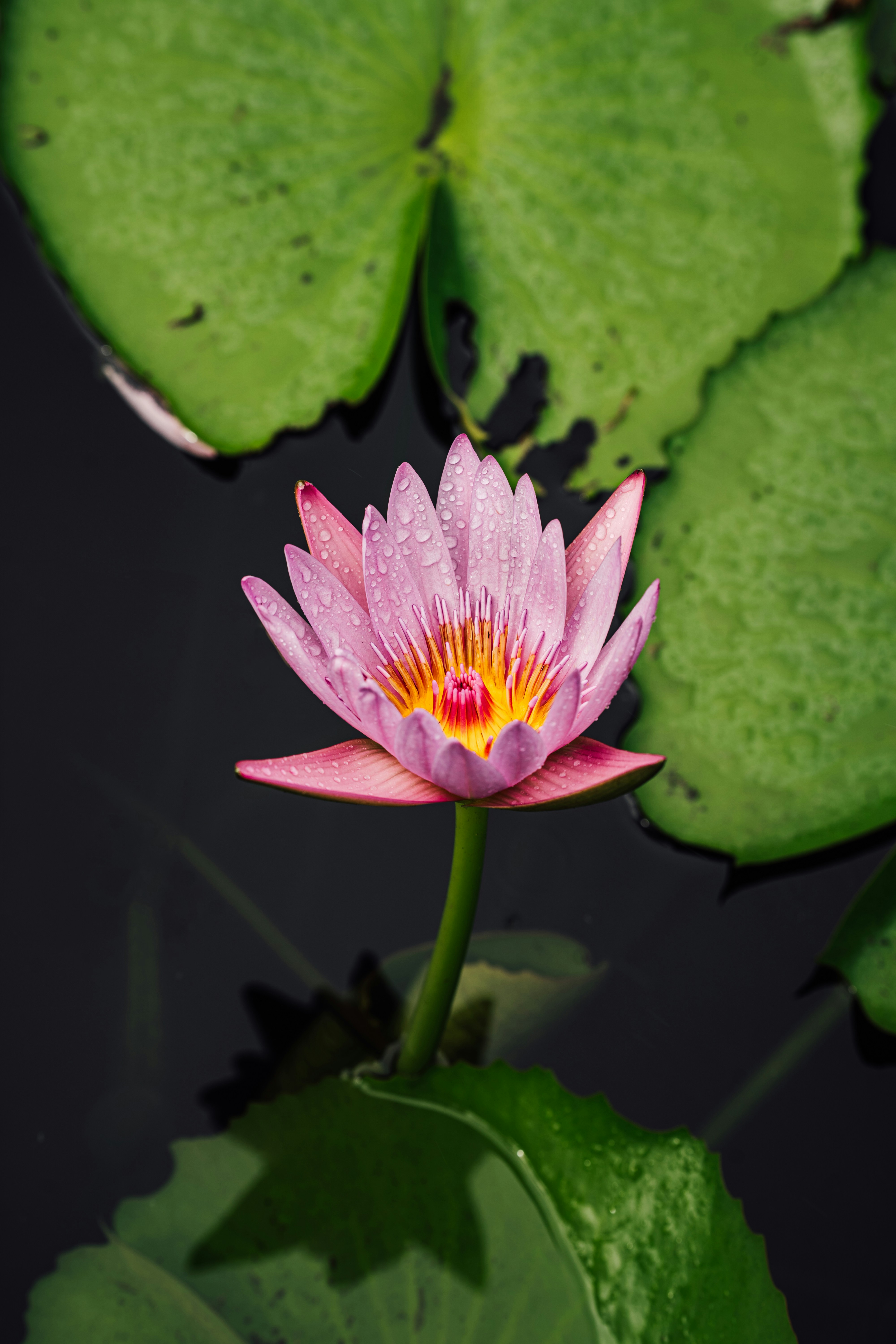 Photo by benjamin_photo_lab