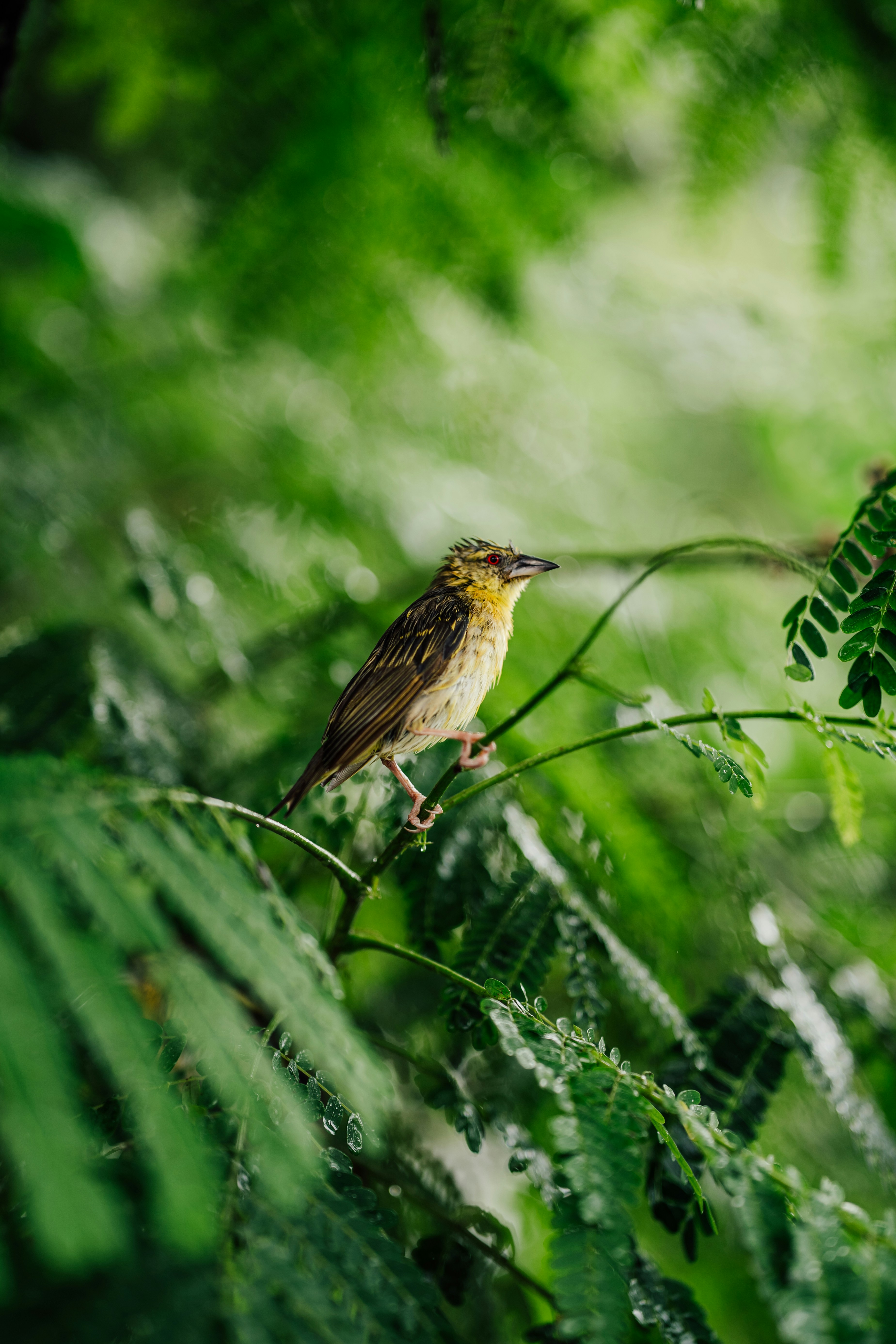 Photo by benjamin_photo_lab