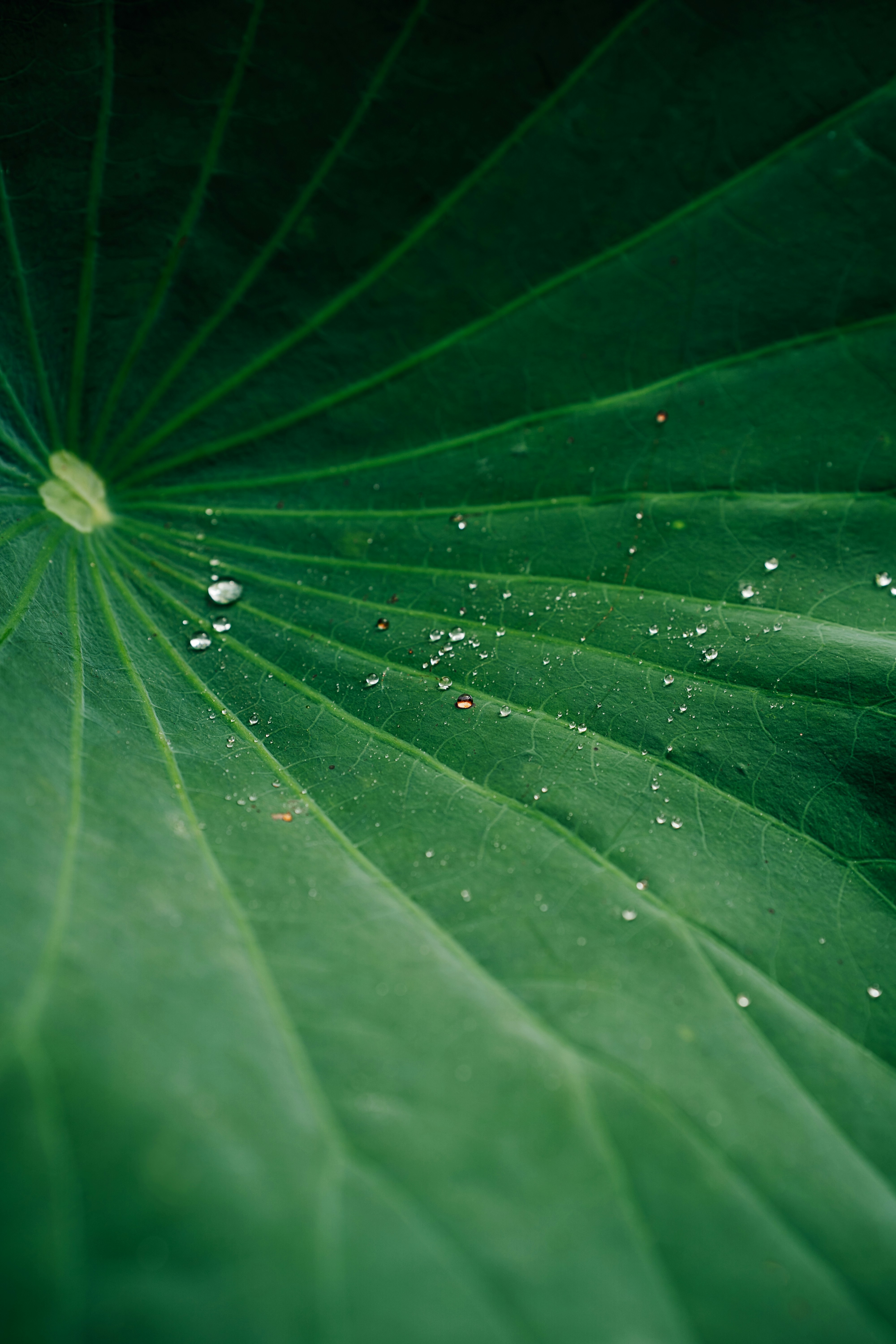 Photo by benjamin_photo_lab