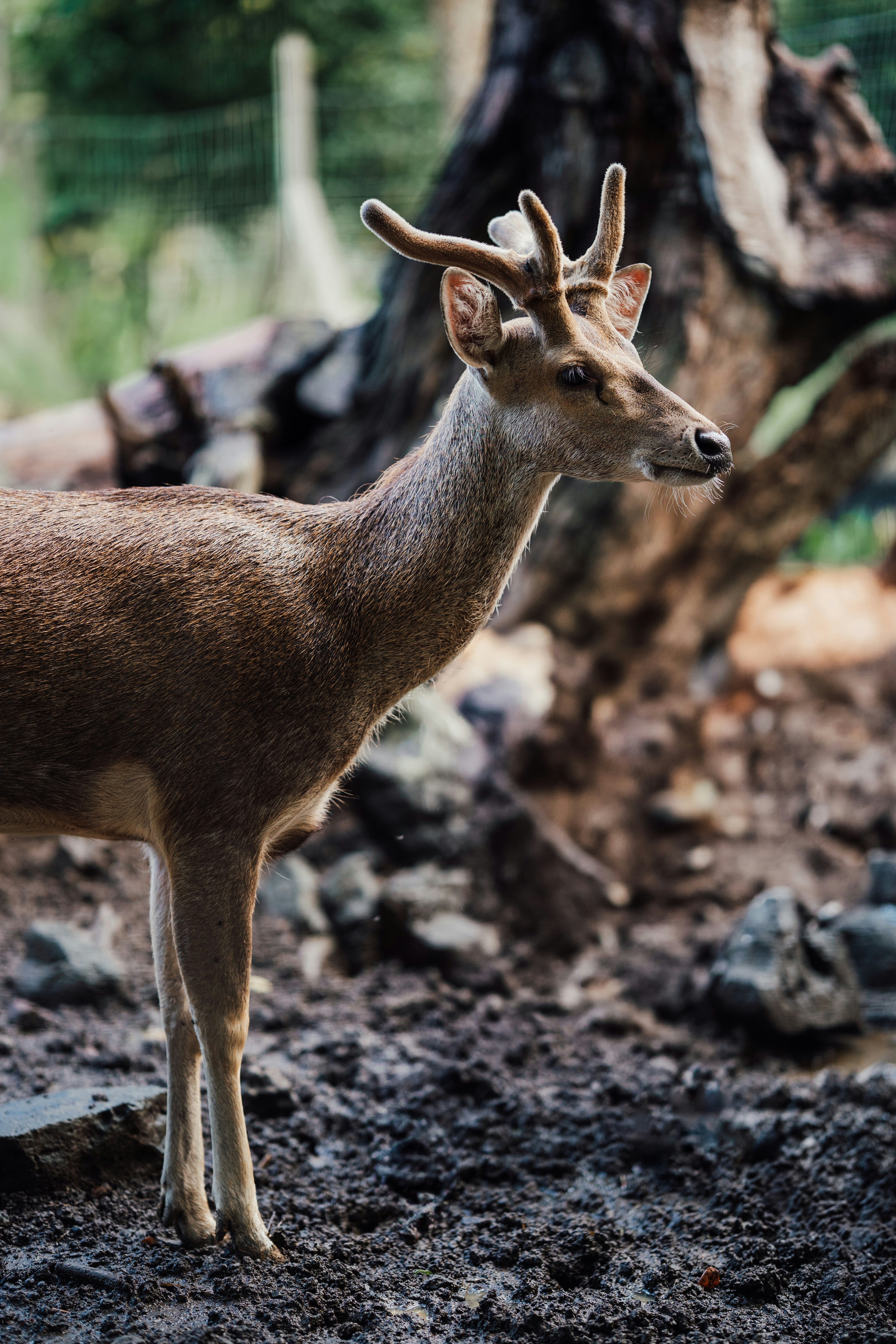 Photo by benjamin_photo_lab