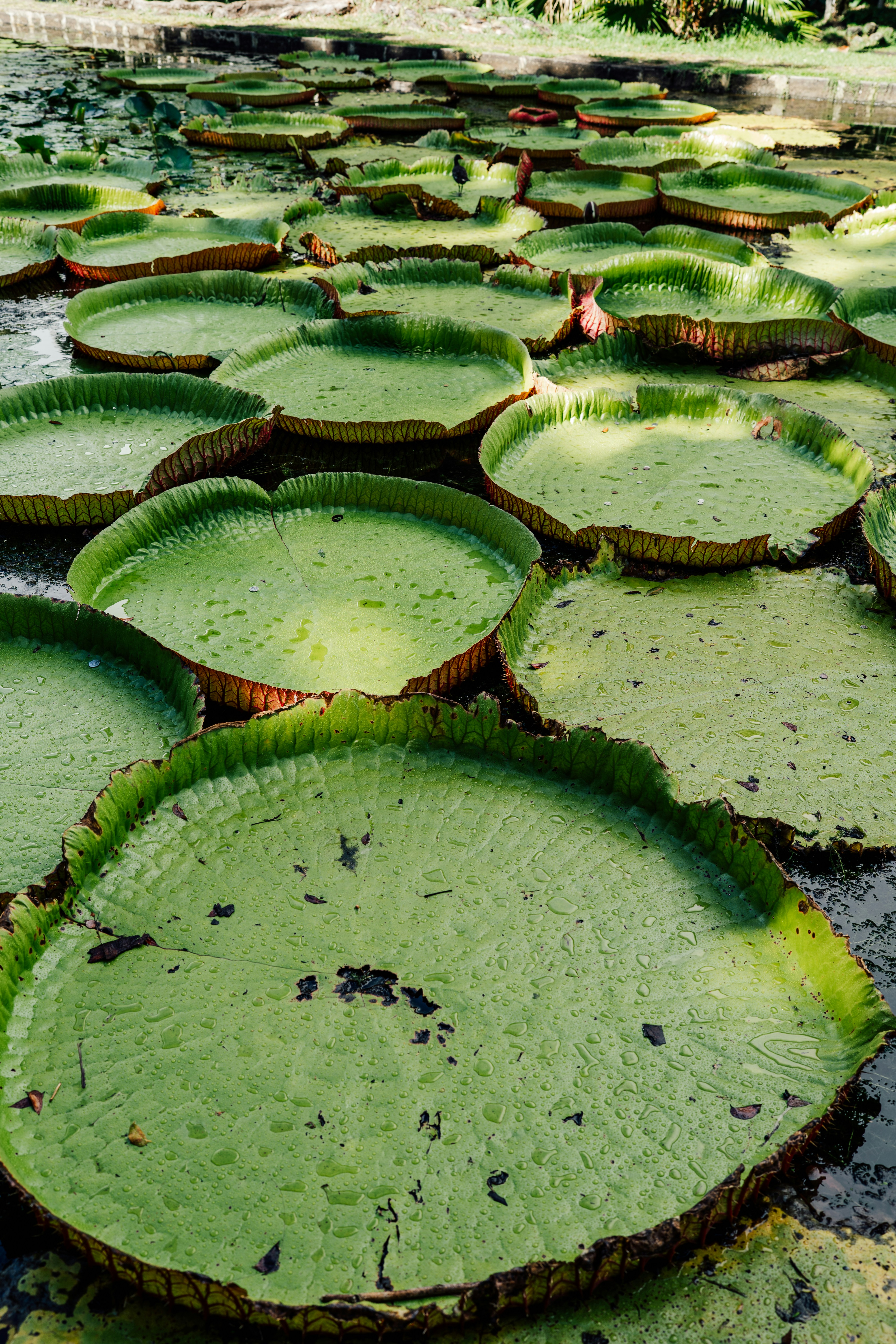 Photo by benjamin_photo_lab