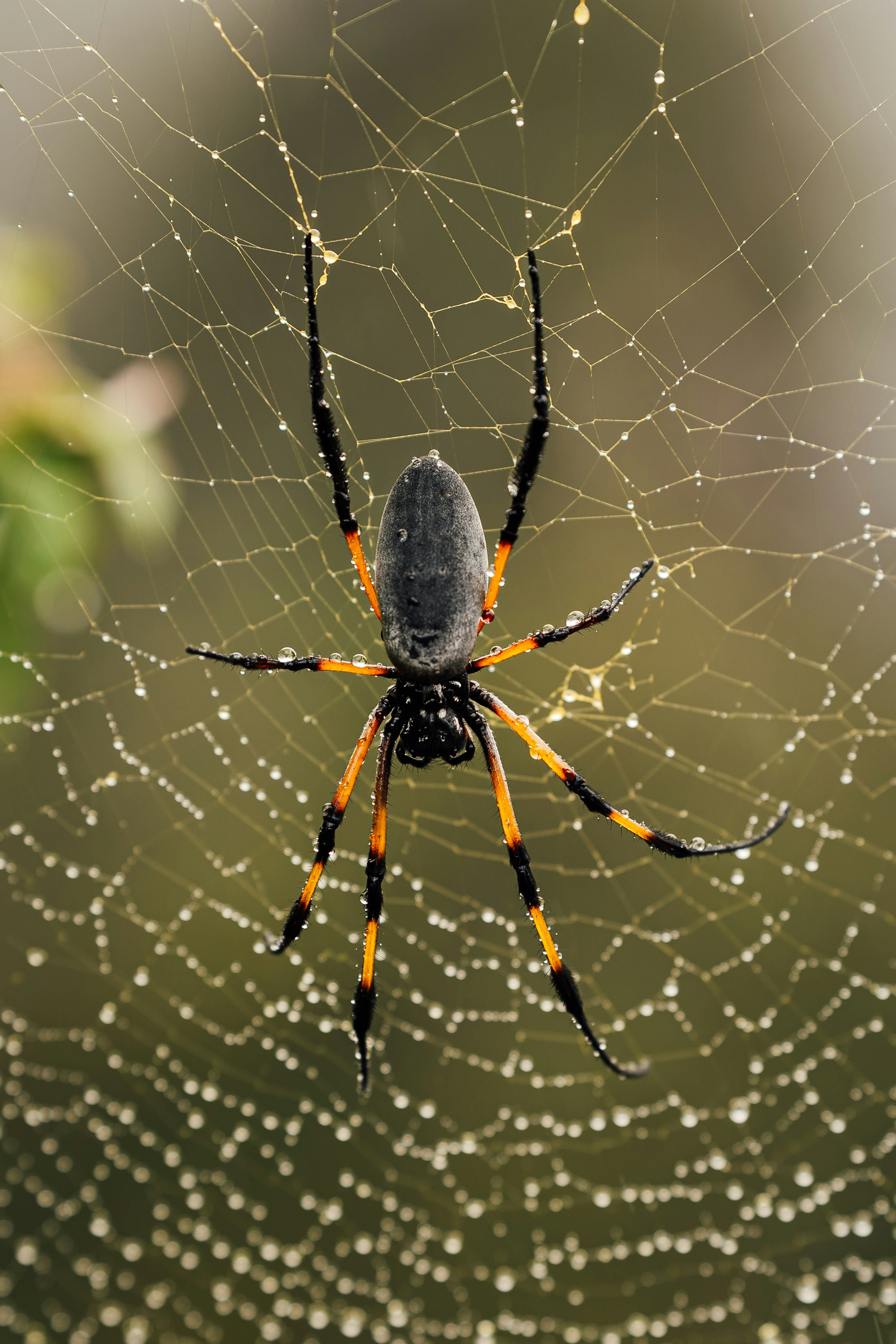 Photo by benjamin_photo_lab