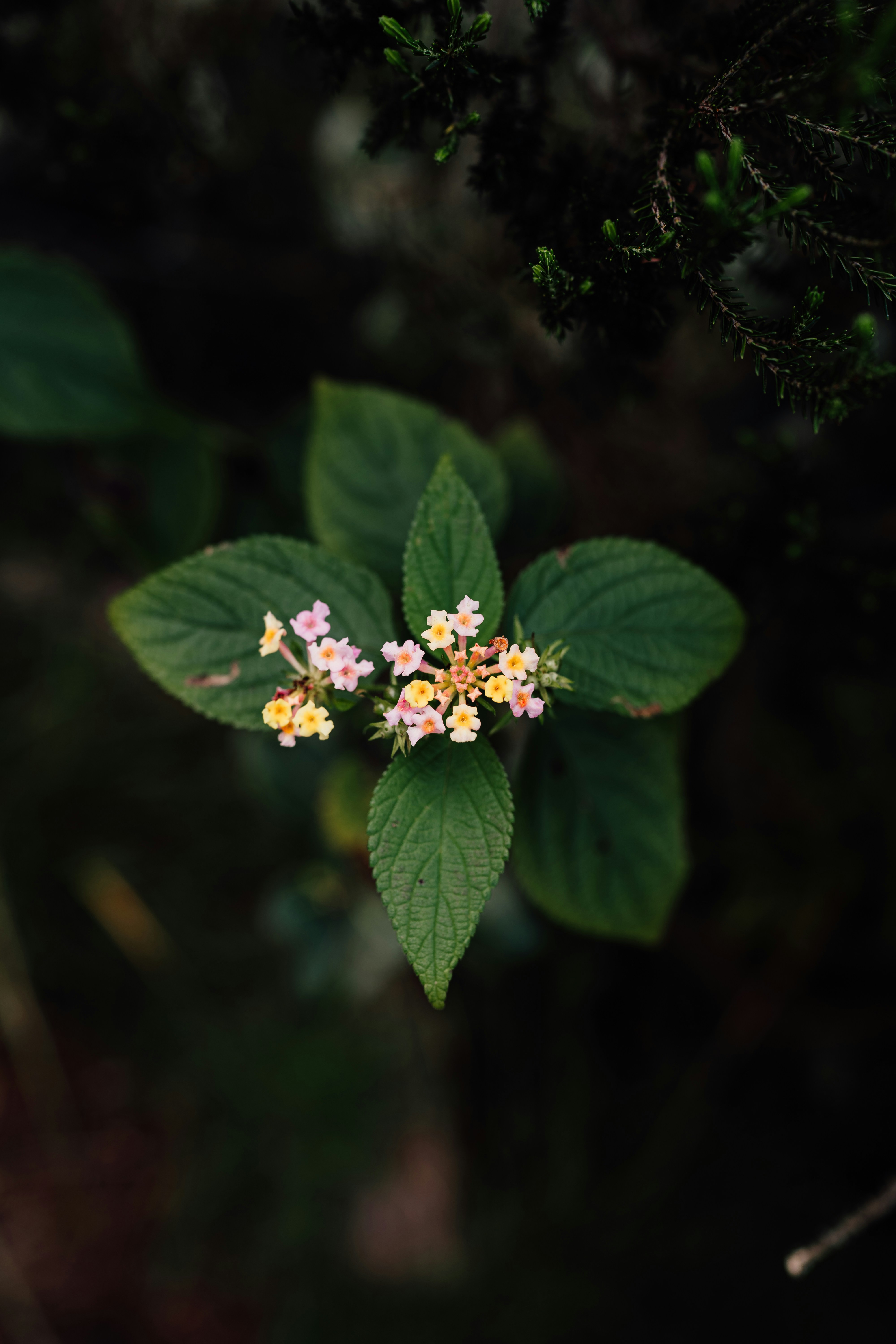 Photo by benjamin_photo_lab