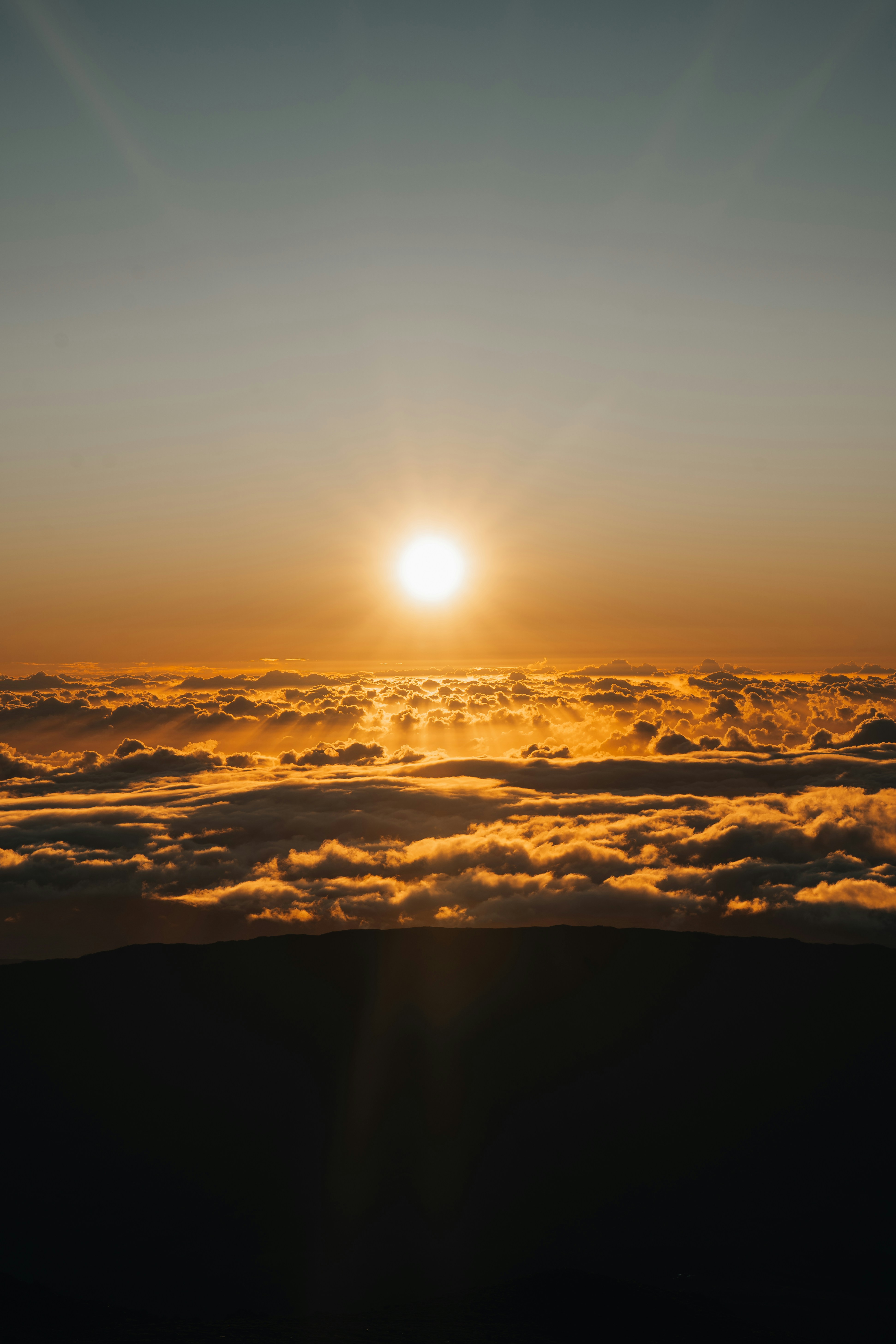 Photo by benjamin_photo_lab