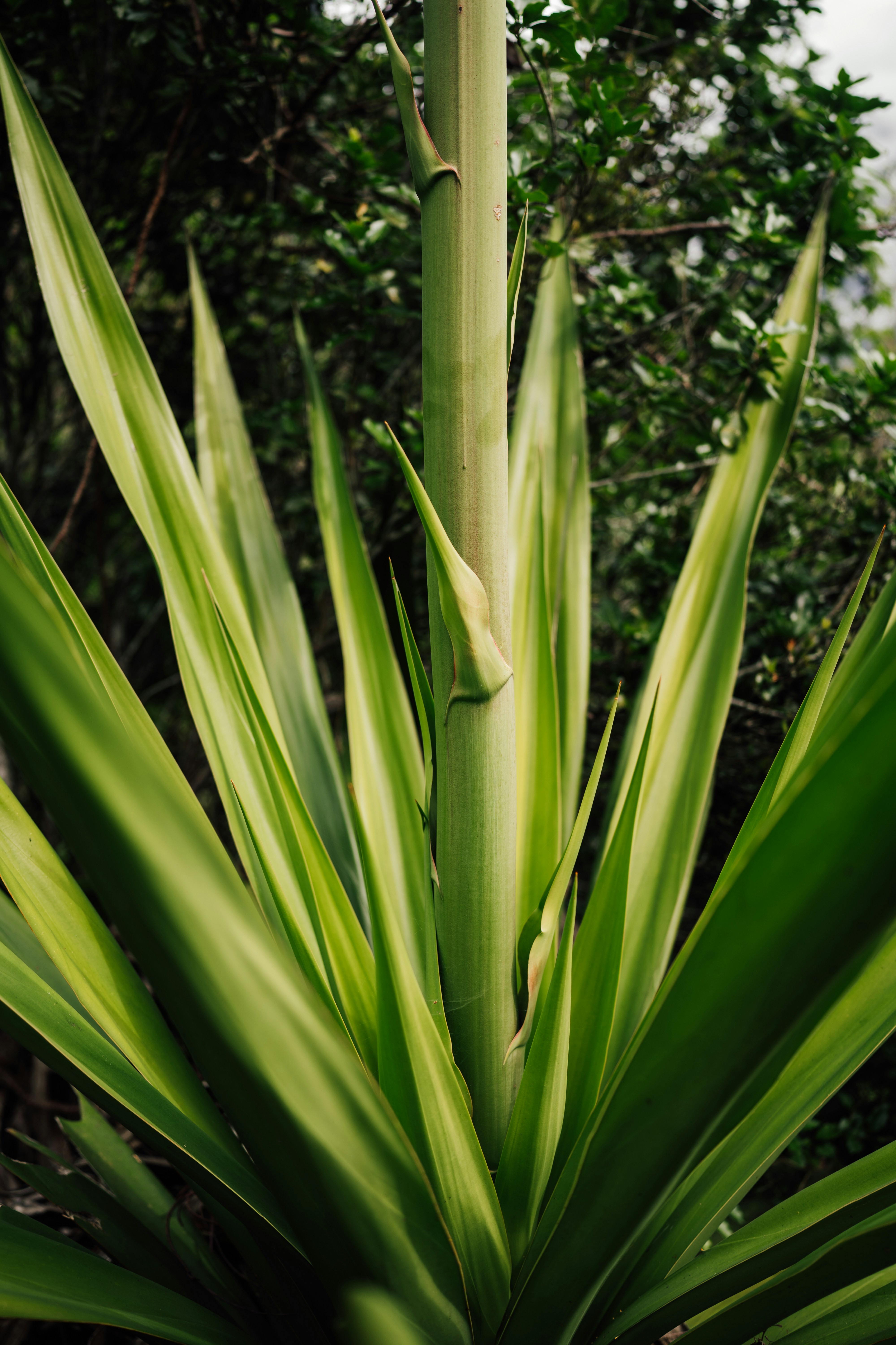 Photo by benjamin_photo_lab