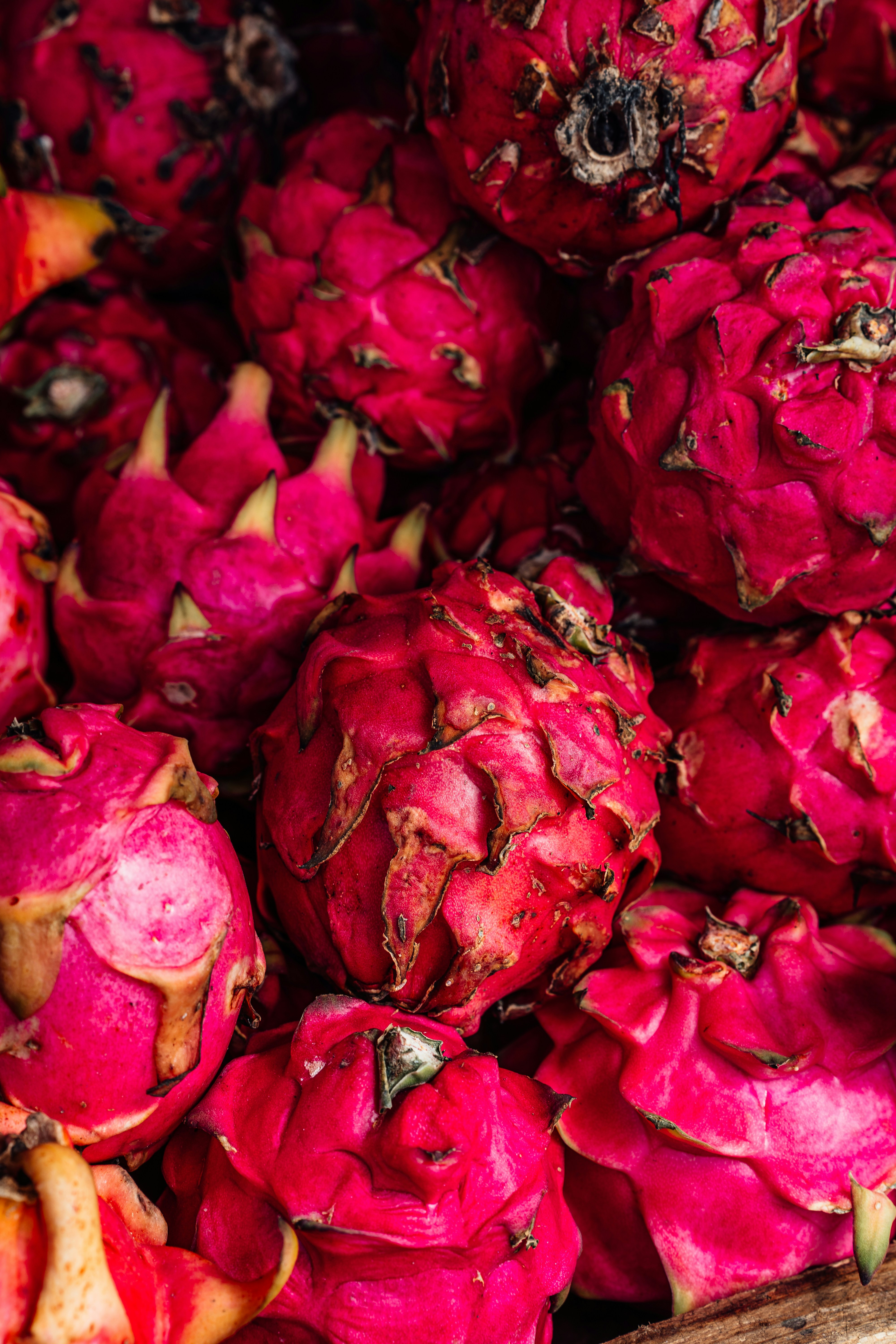 Photo by benjamin_photo_lab